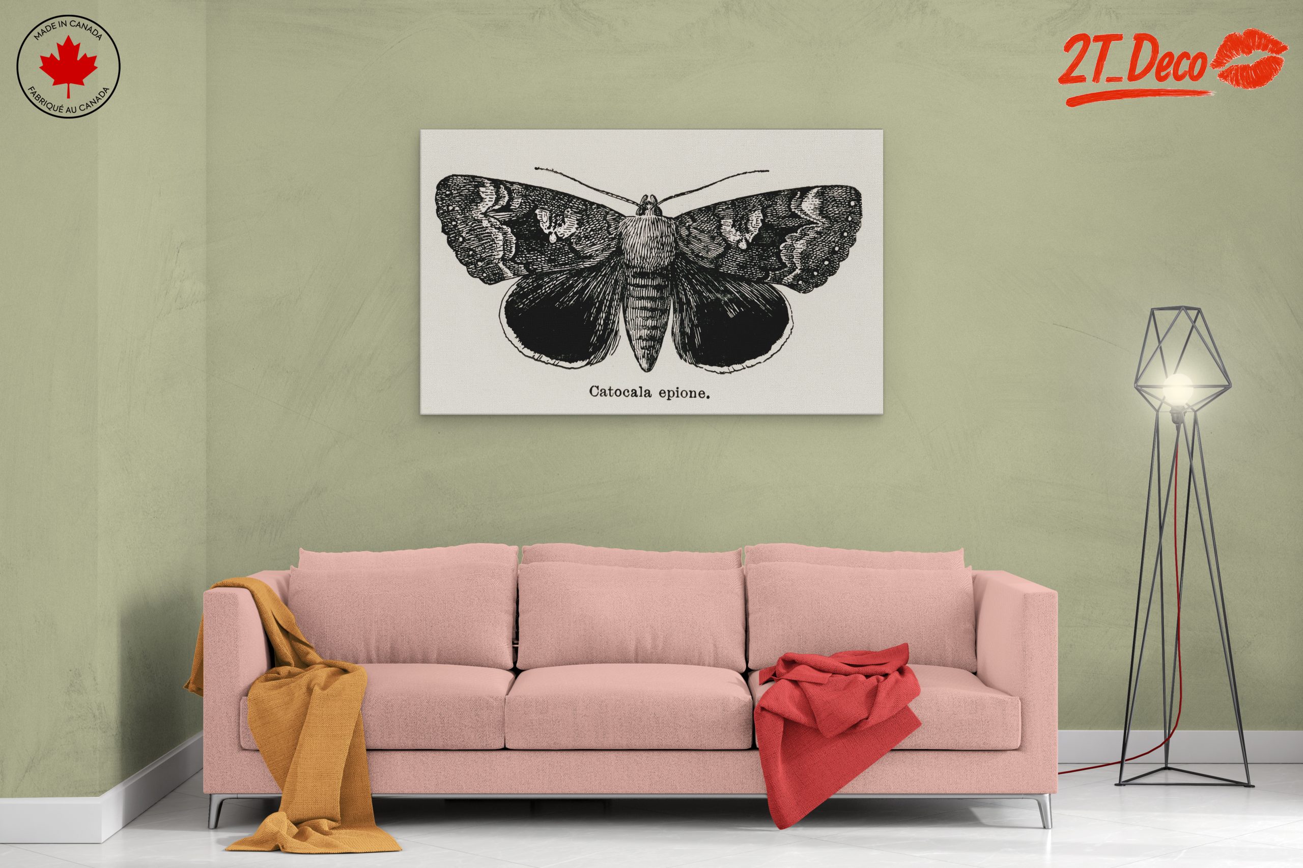 Detailed Moth Illustration in Ink - Image 2