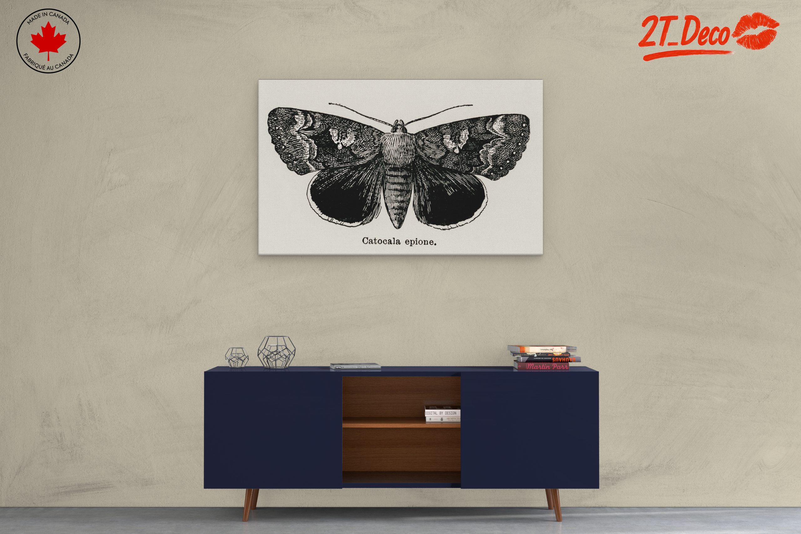 Detailed Moth Illustration in Ink - Image 3