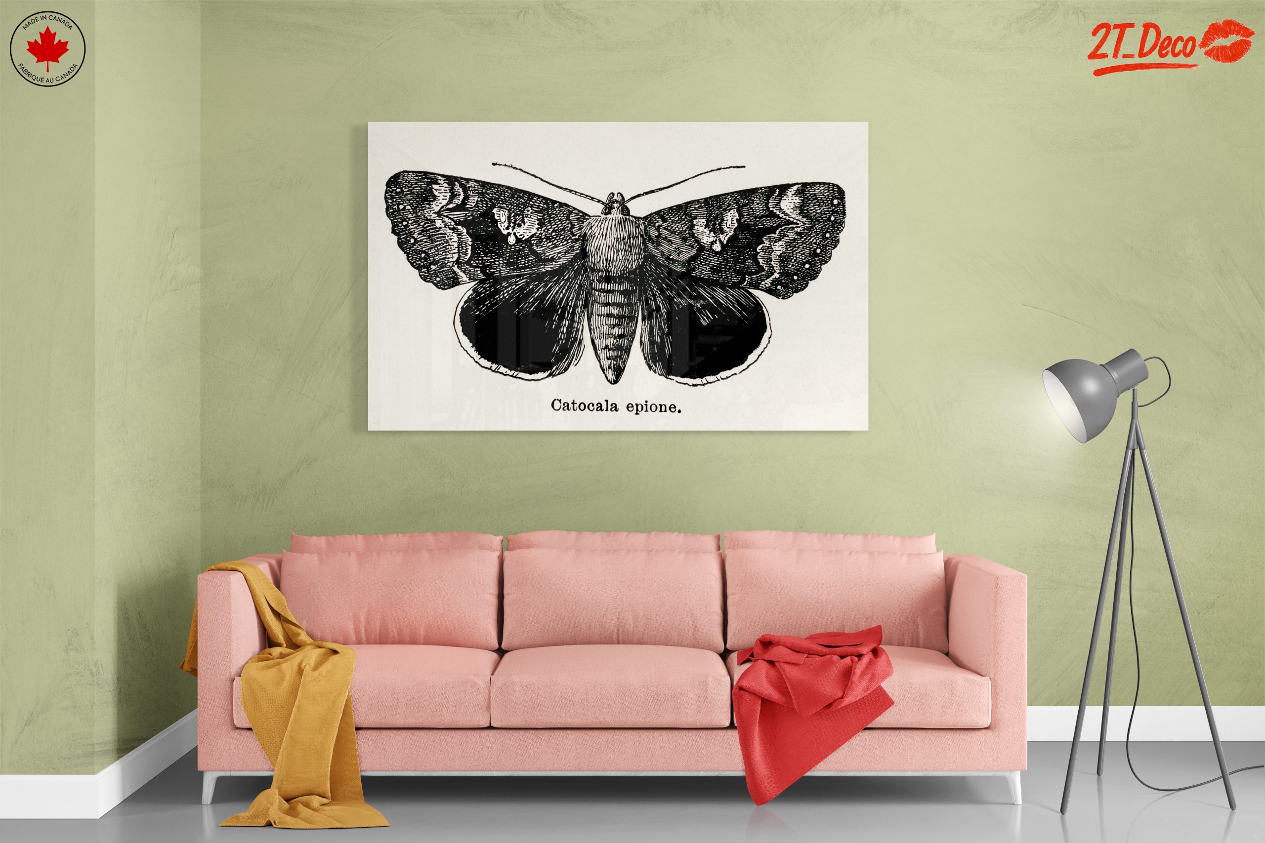 Detailed Moth Illustration in Ink - Image 7