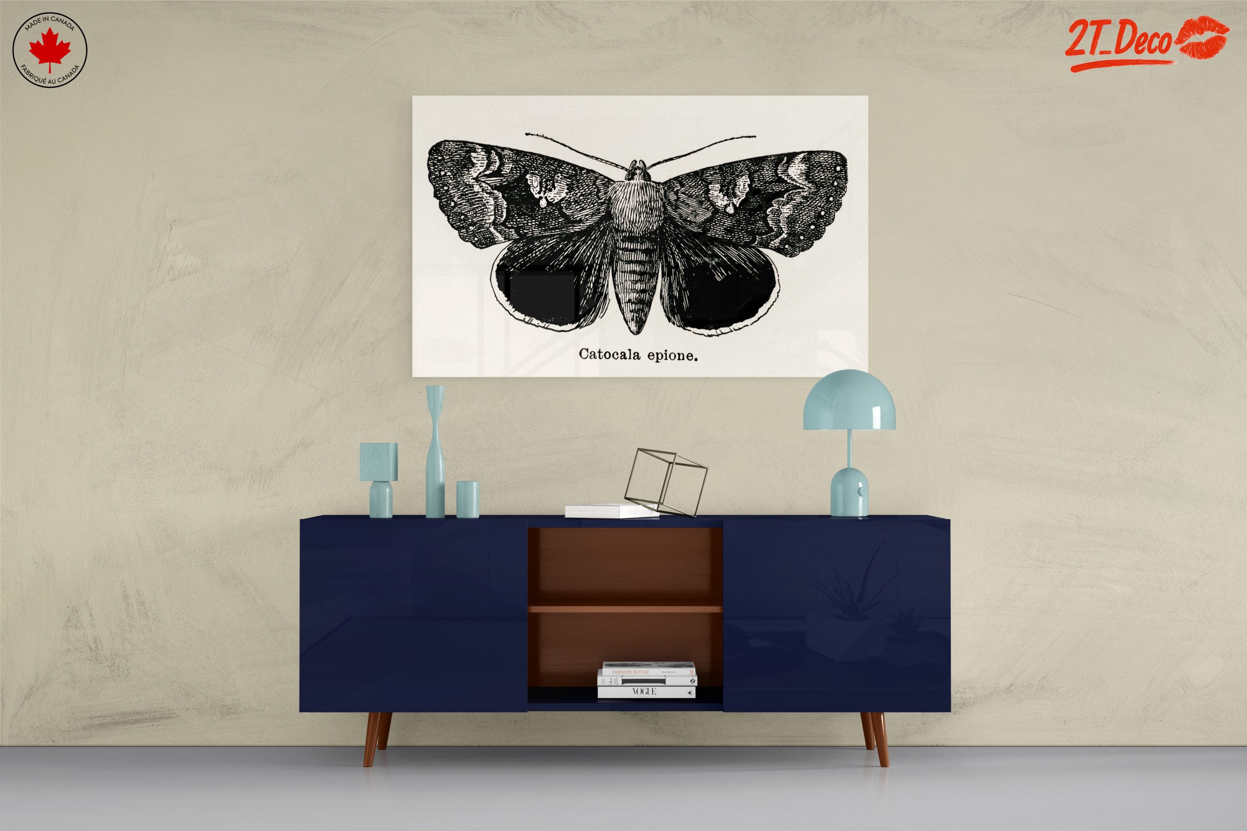 Detailed Moth Illustration in Ink - Image 8