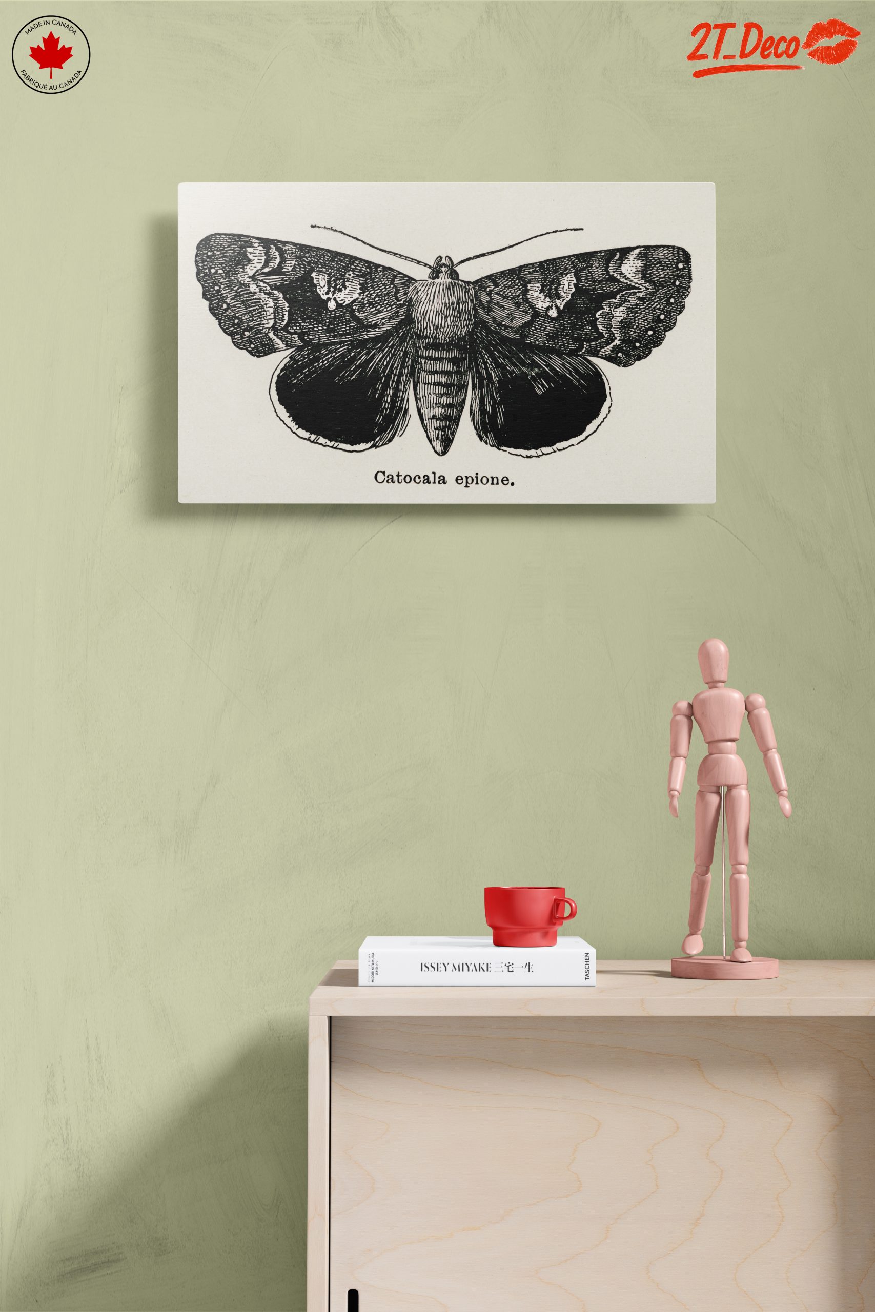 Detailed Moth Illustration in Ink - Image 14