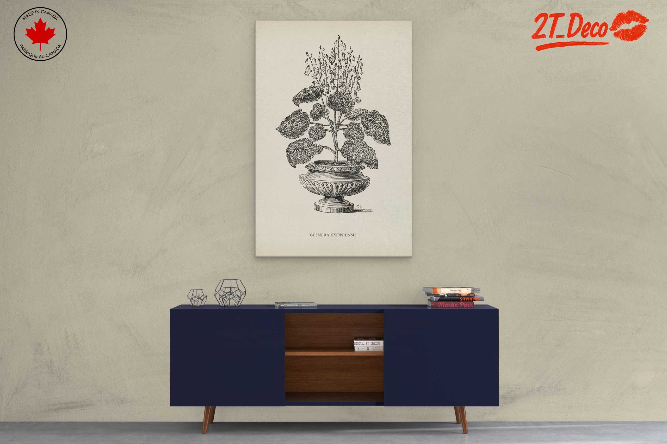 Stunning Botanical Illustration of Gesnera Exoniensis - Image 3