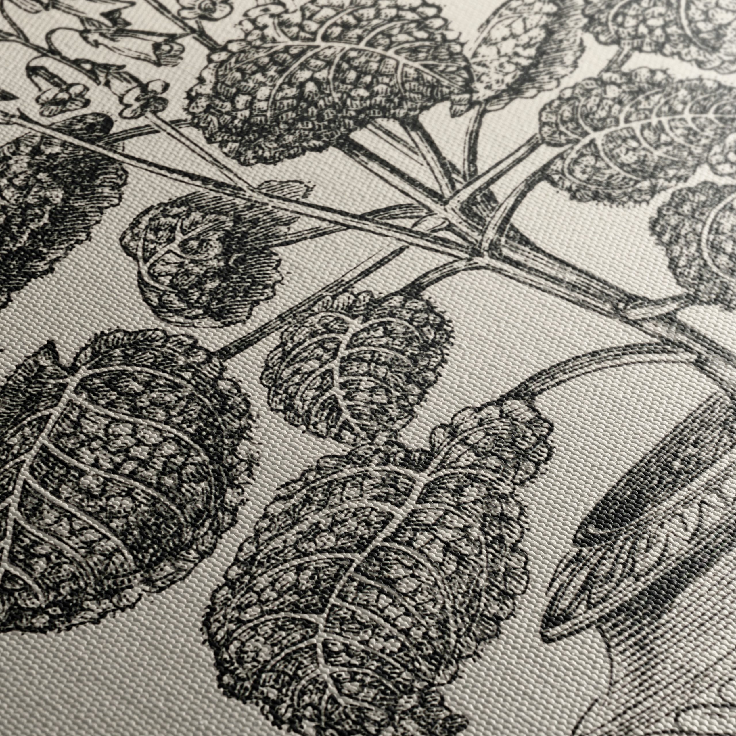 Stunning Botanical Illustration of Gesnera Exoniensis - Image 5
