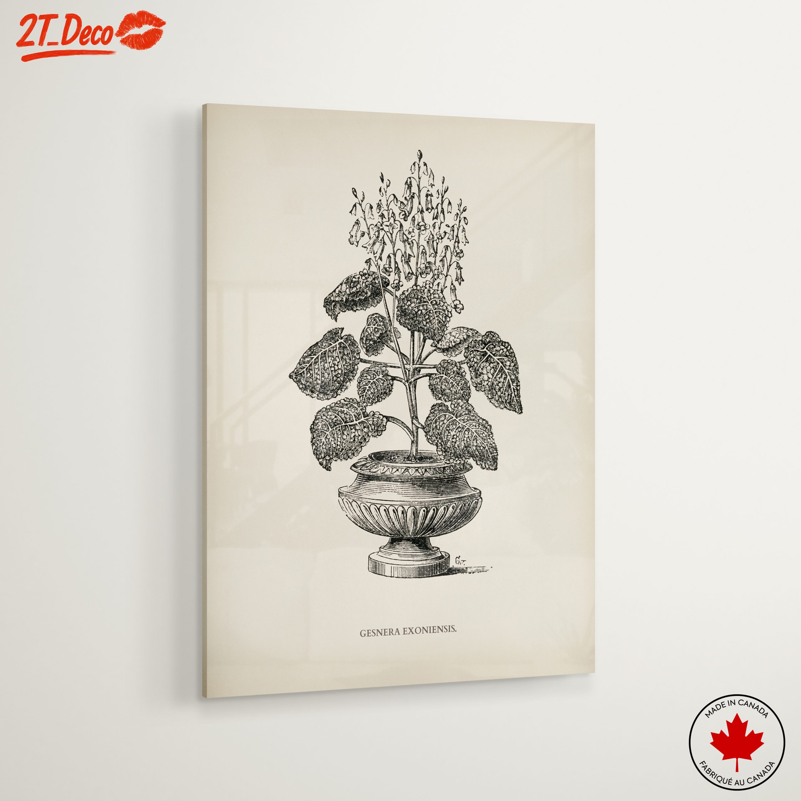 Stunning Botanical Illustration of Gesnera Exoniensis - Image 6