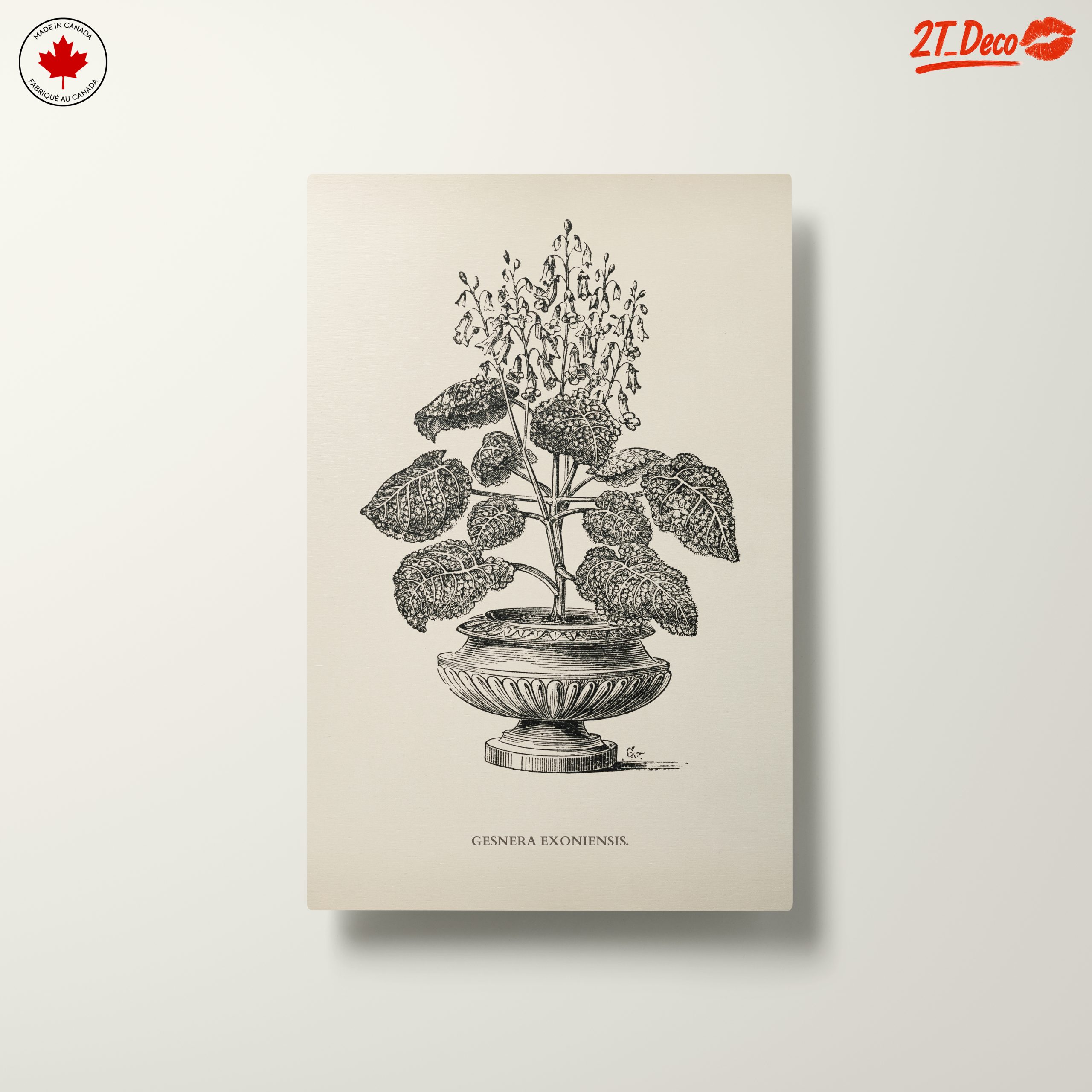 Stunning Botanical Illustration of Gesnera Exoniensis - Image 10
