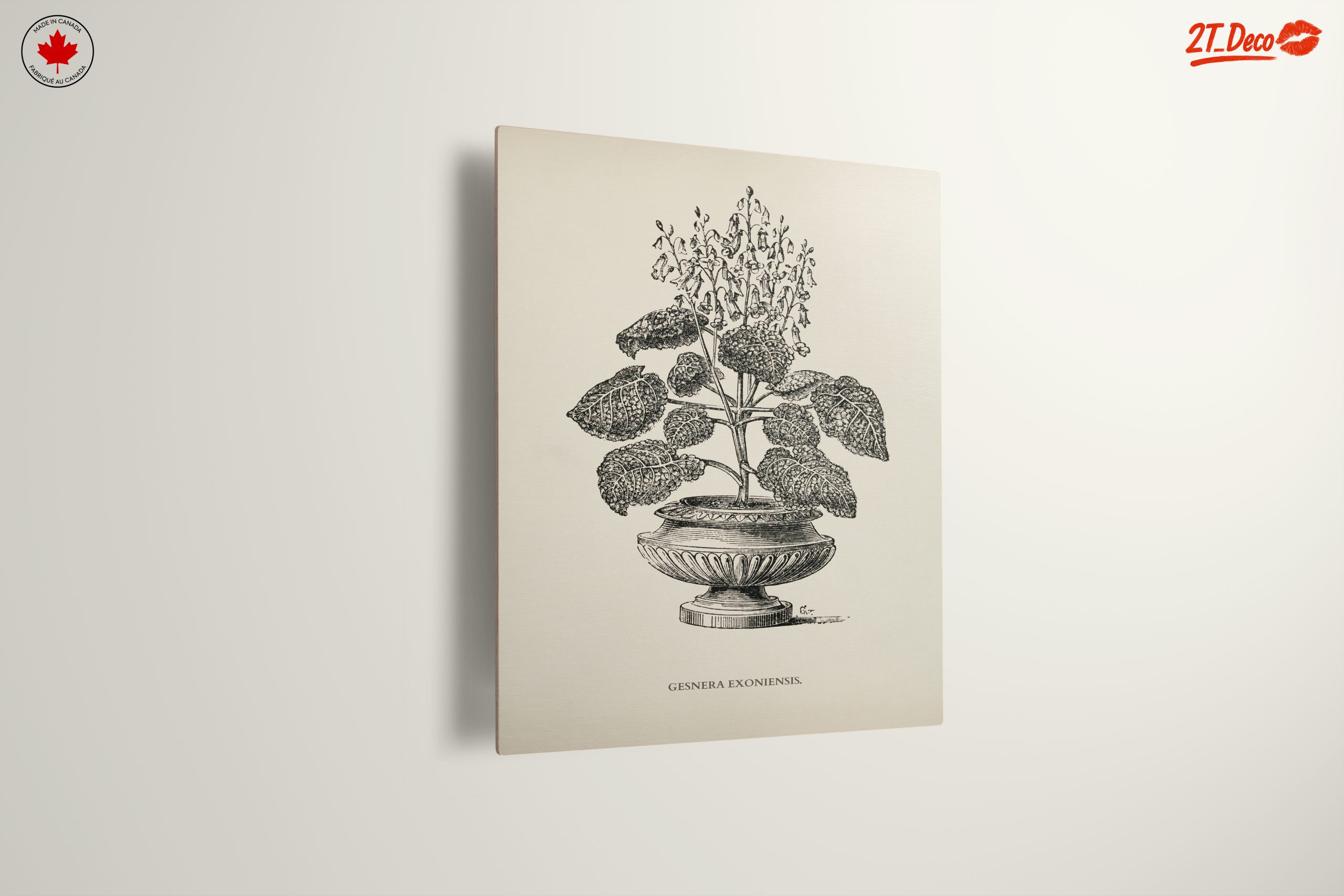 Stunning Botanical Illustration of Gesnera Exoniensis - Image 13