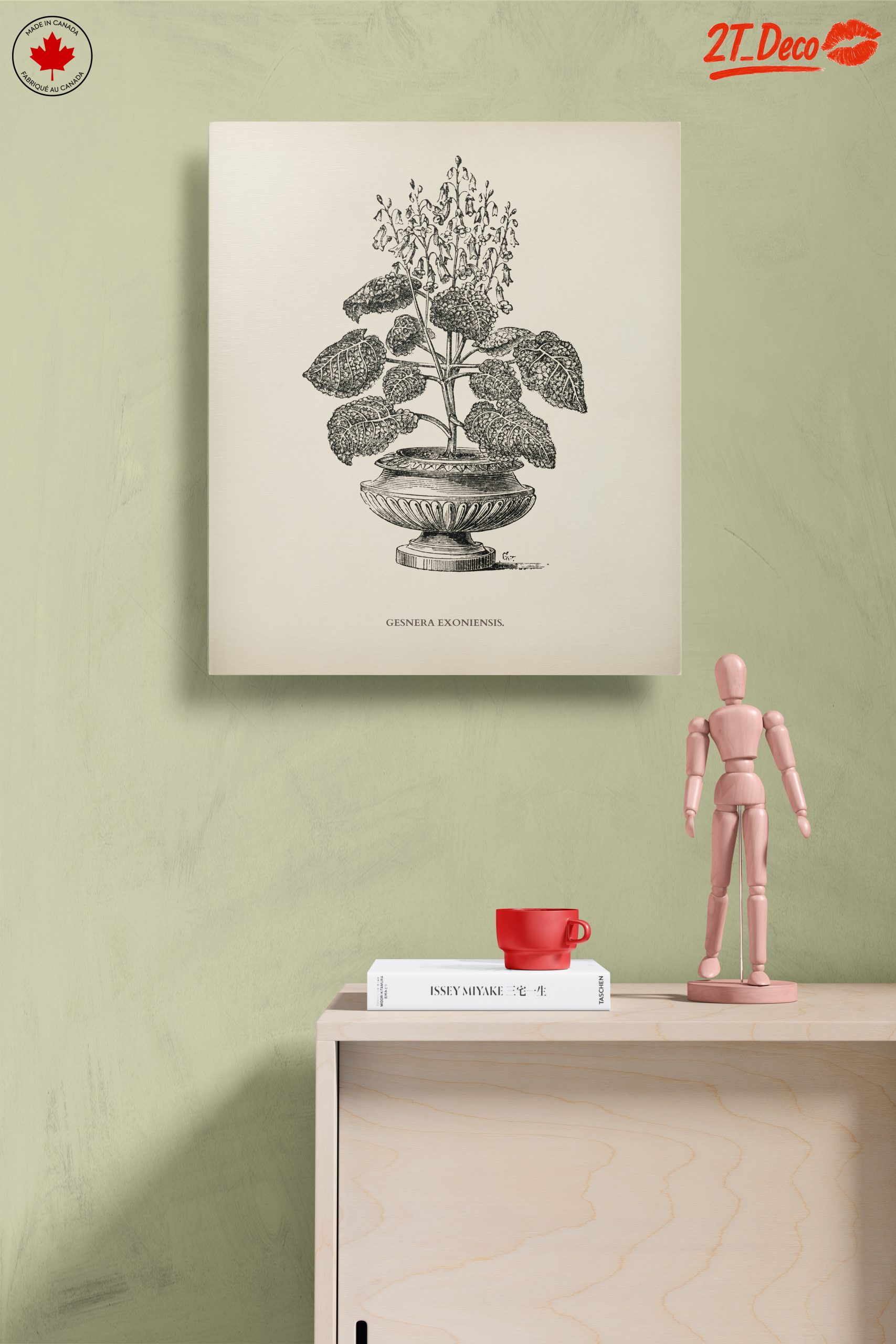 Stunning Botanical Illustration of Gesnera Exoniensis - Image 14