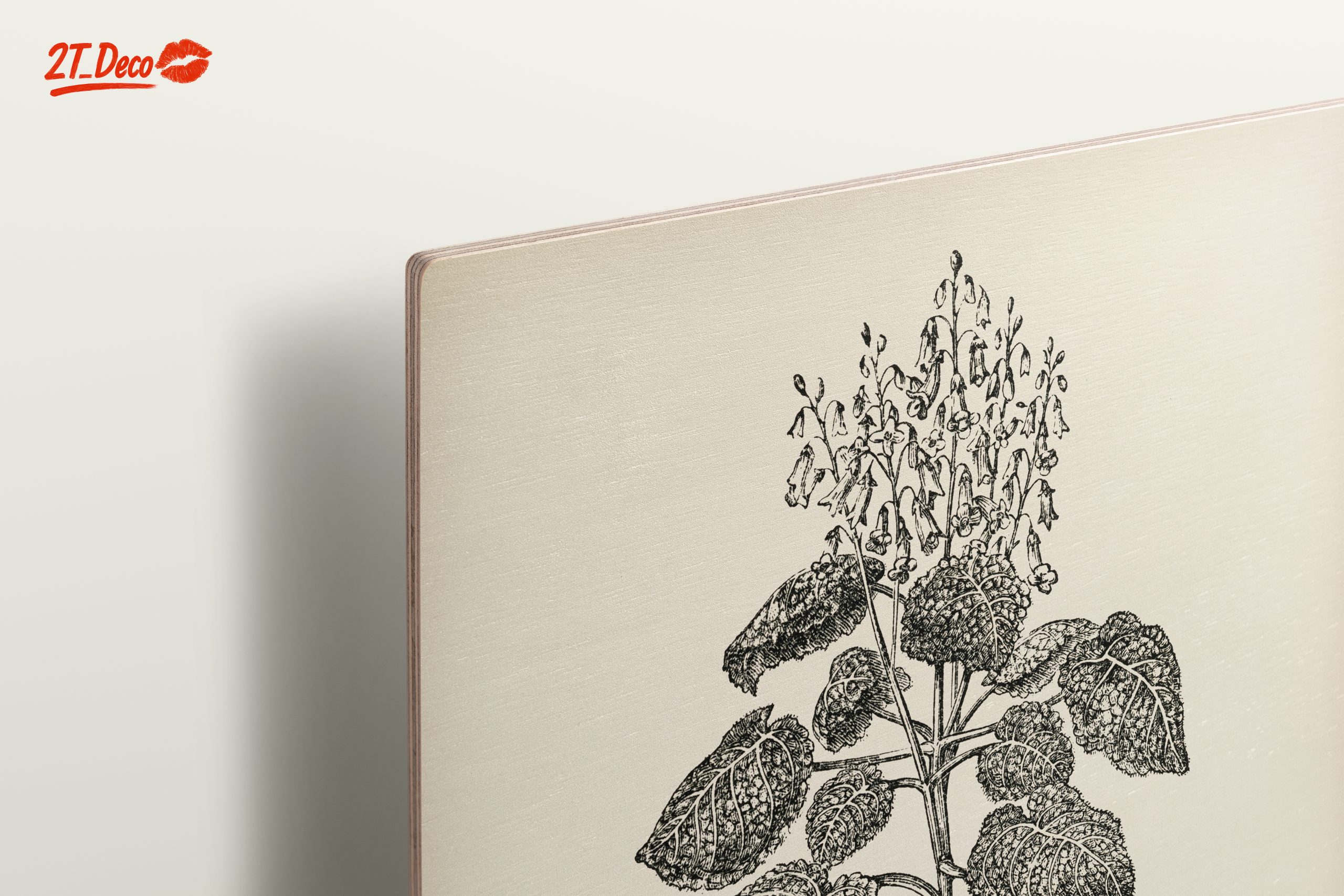 Stunning Botanical Illustration of Gesnera Exoniensis - Image 15