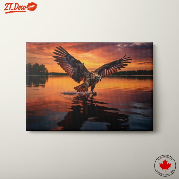 Majestic Eagle at Sunset Over Water