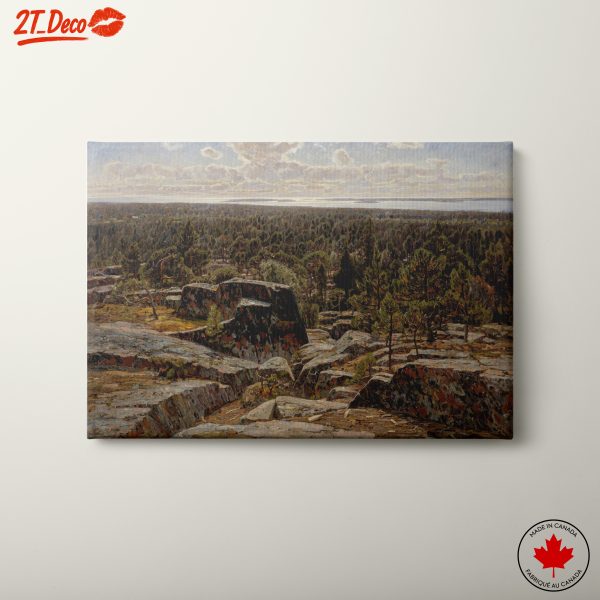 Stunning Adventure Landscape with Forest and Rocks