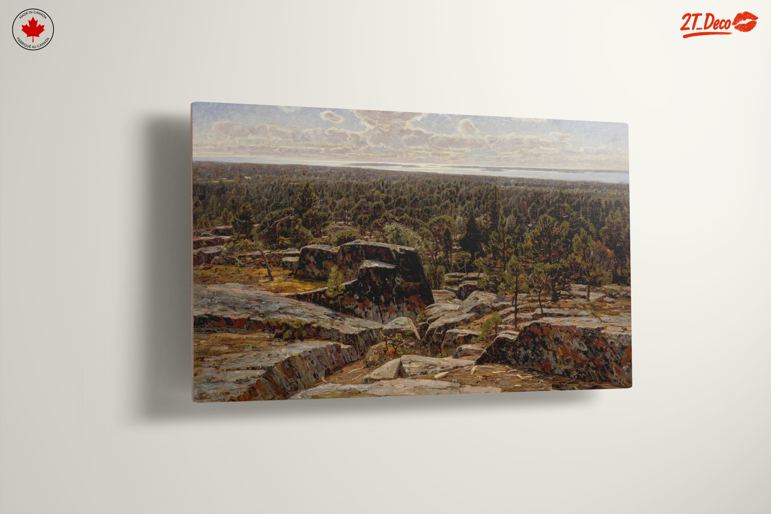 Stunning Adventure Landscape with Forest and Rocks - Image 13