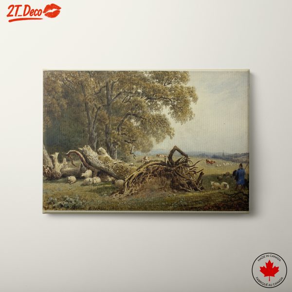 Pastoral Landscape with Grazing Sheep
