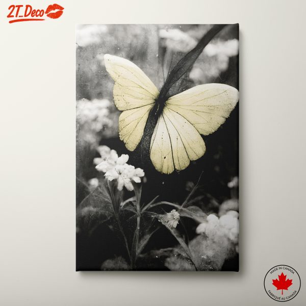 Black and White Butterfly on Flowers