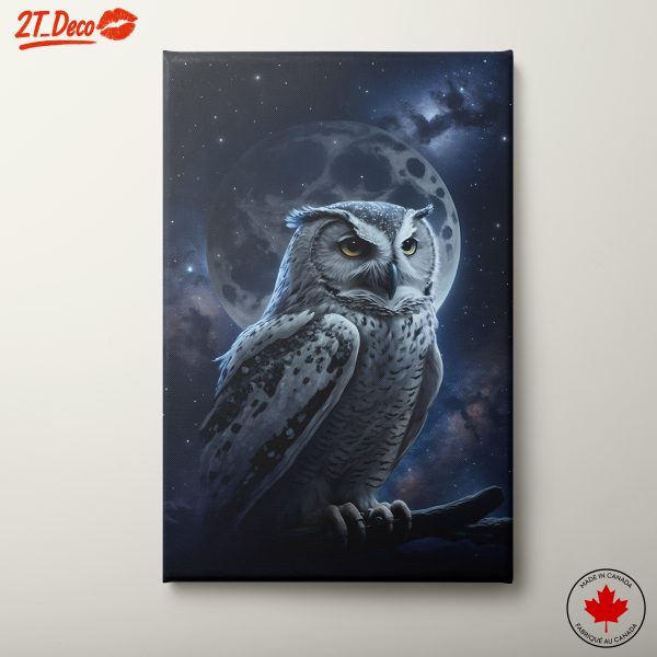 Owl Against Cosmic Night Sky