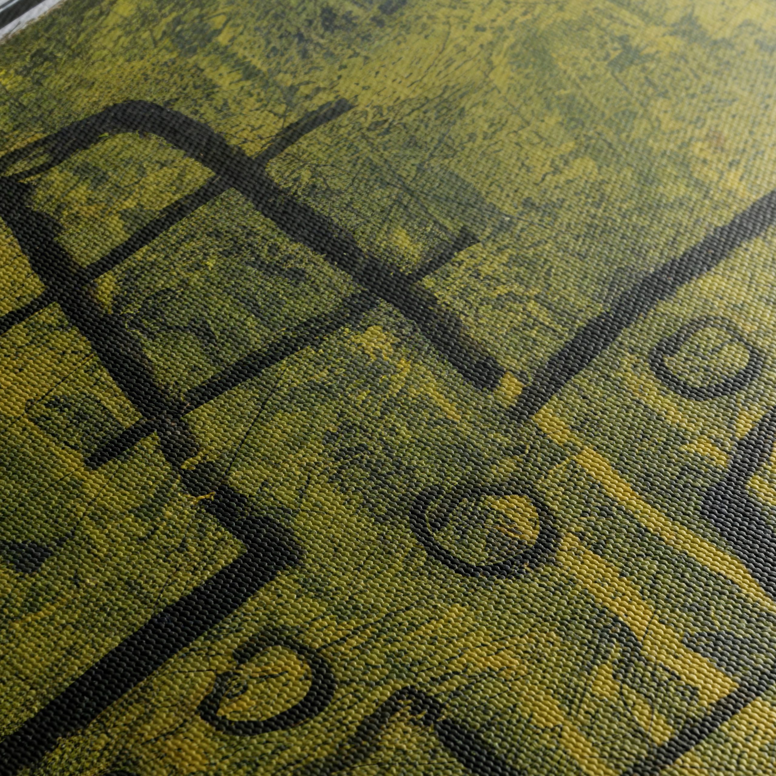 Origin of Cotton Abstract Cultural Artwork - Image 5
