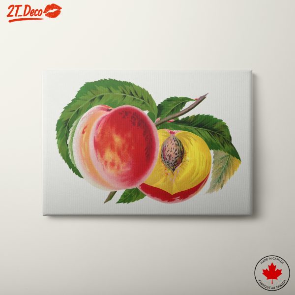 Vibrant Abstract Peaches Art