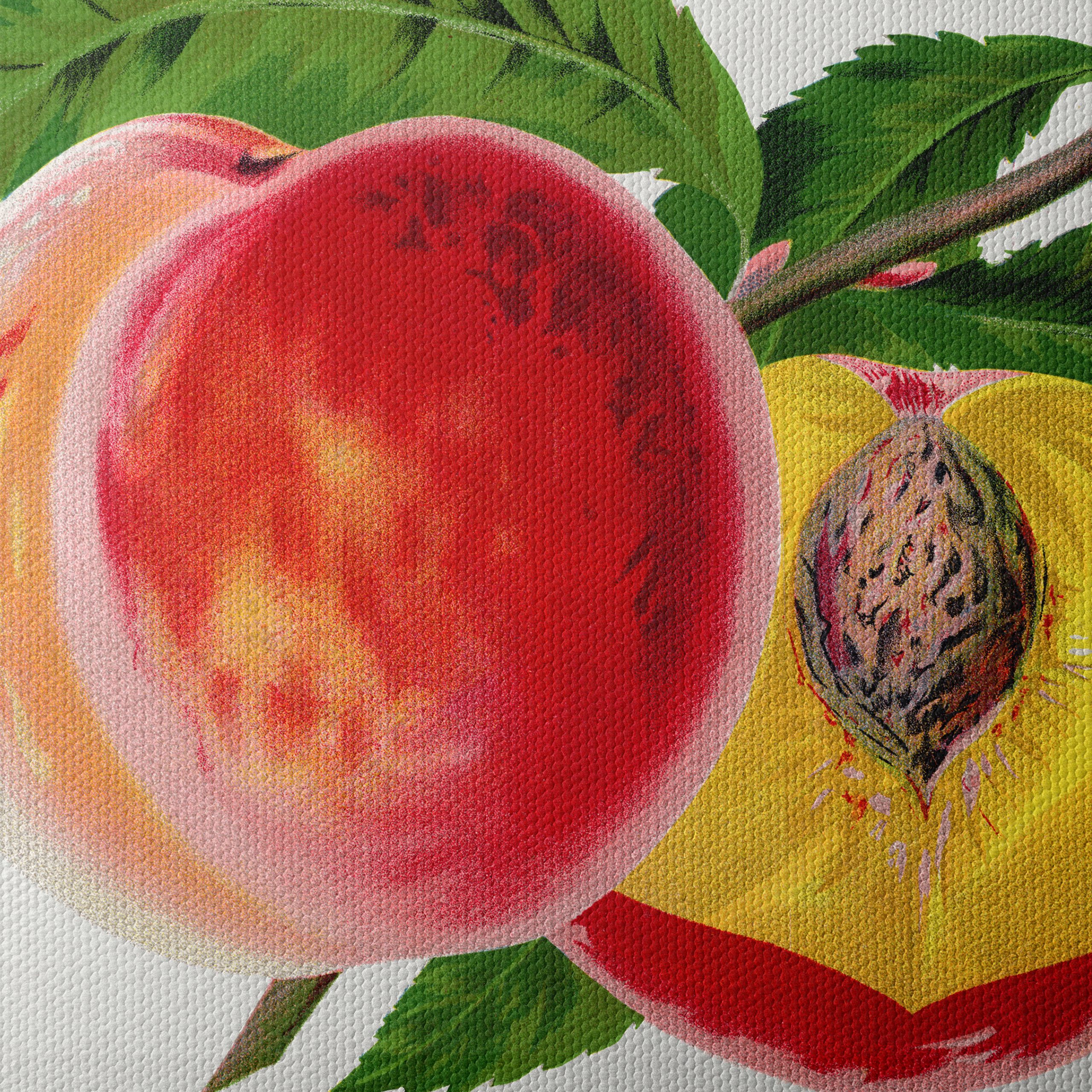 Vibrant Abstract Peaches Art - Image 4
