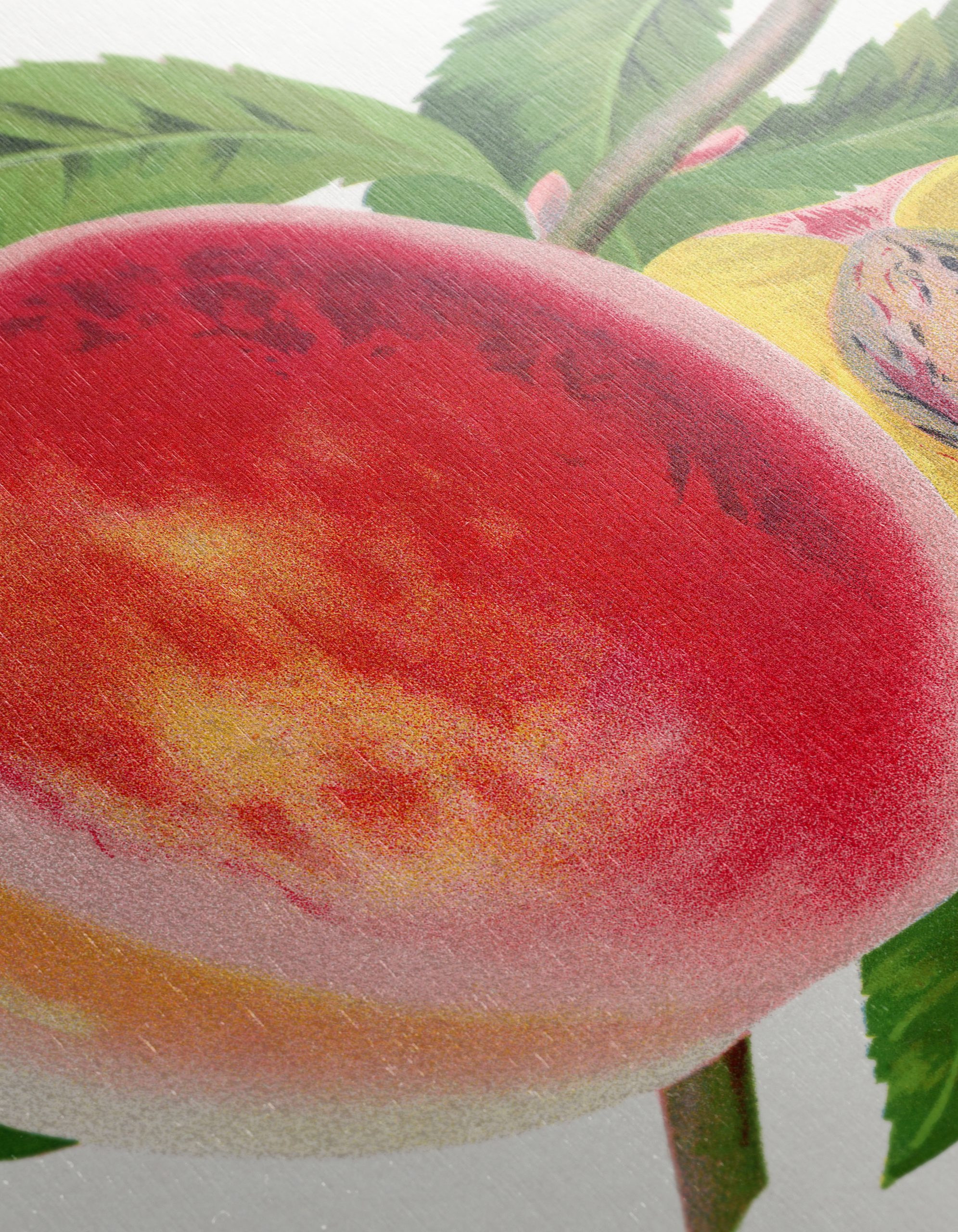 Vibrant Abstract Peaches Art - Image 12