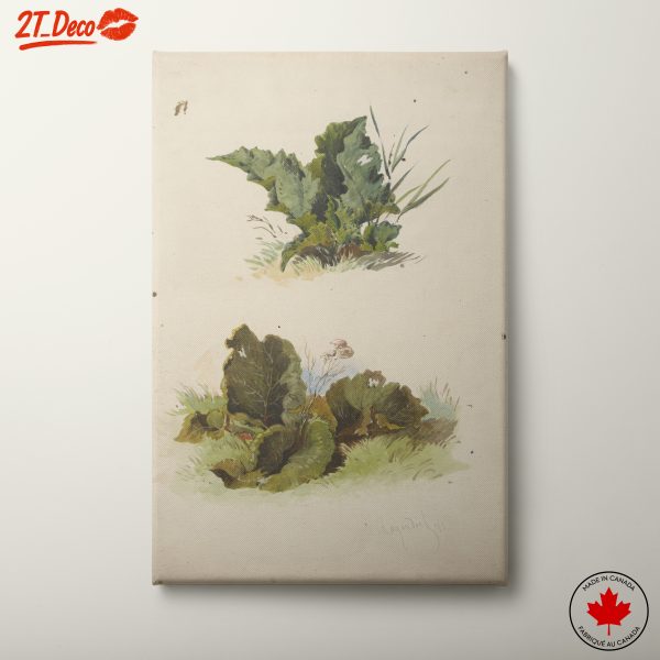 Detailed Botanical Illustration of Leaves