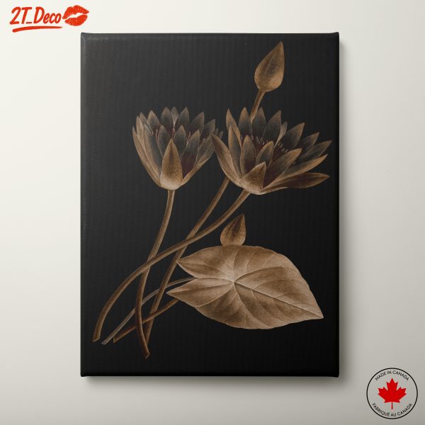 Elegant Water Lily Floral Art