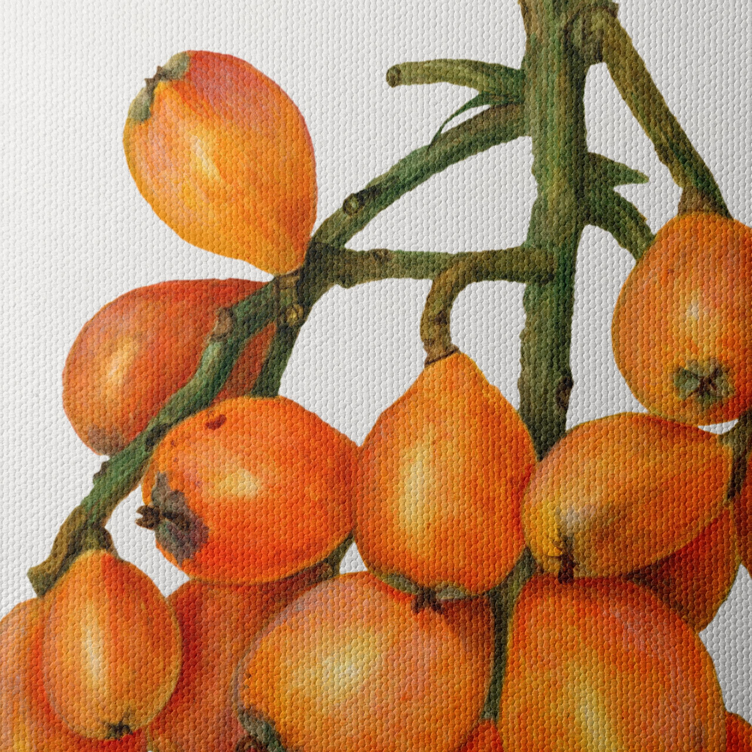 Detailed Botanical Illustration of Loquats - Image 4
