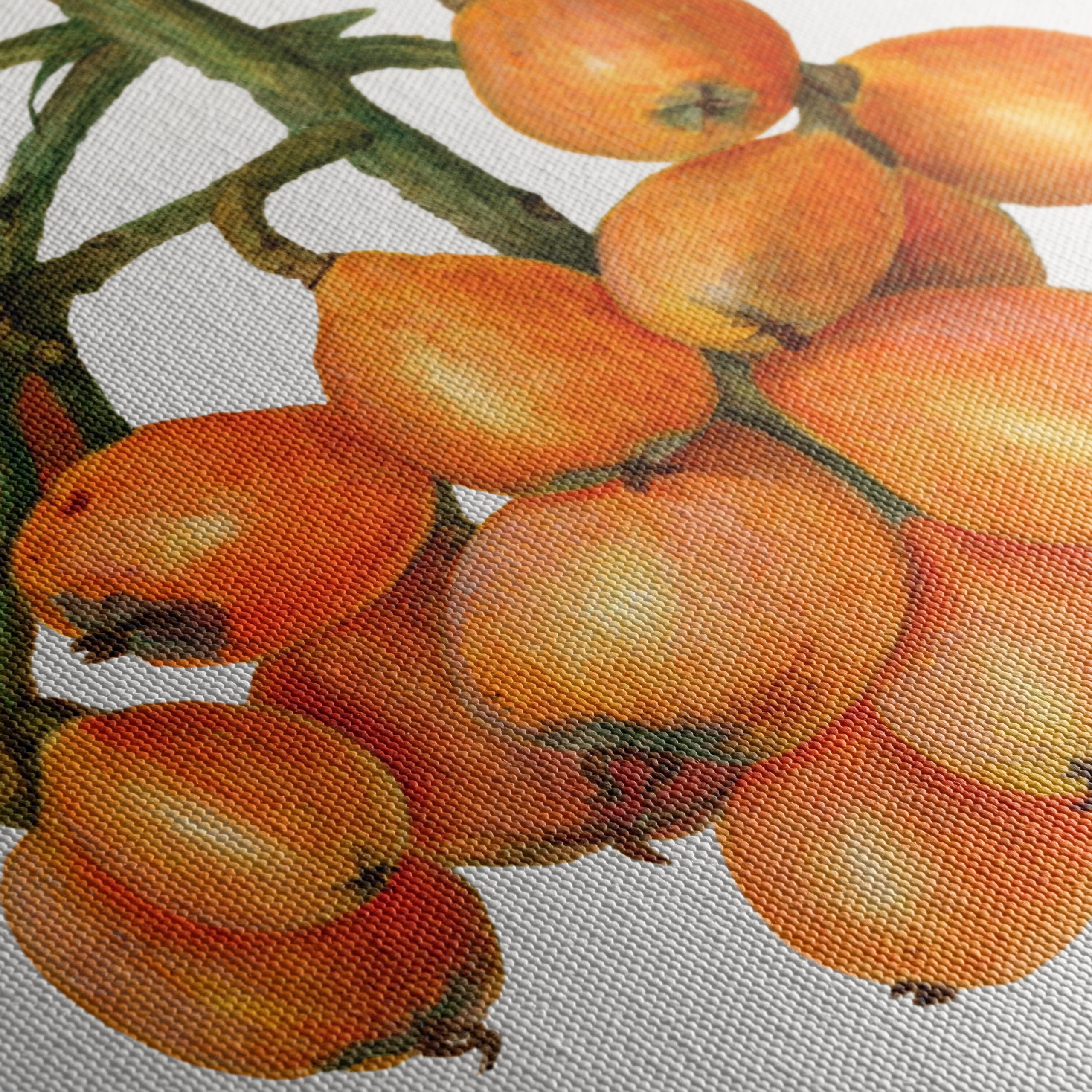 Detailed Botanical Illustration of Loquats - Image 5