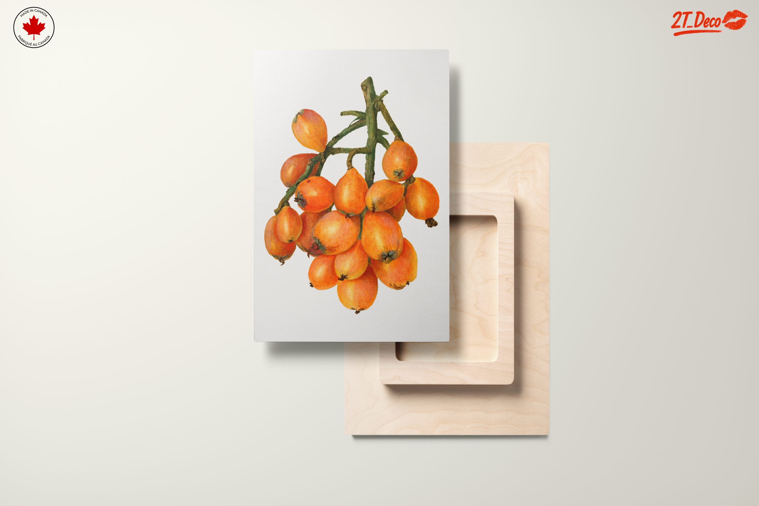 Detailed Botanical Illustration of Loquats - Image 11