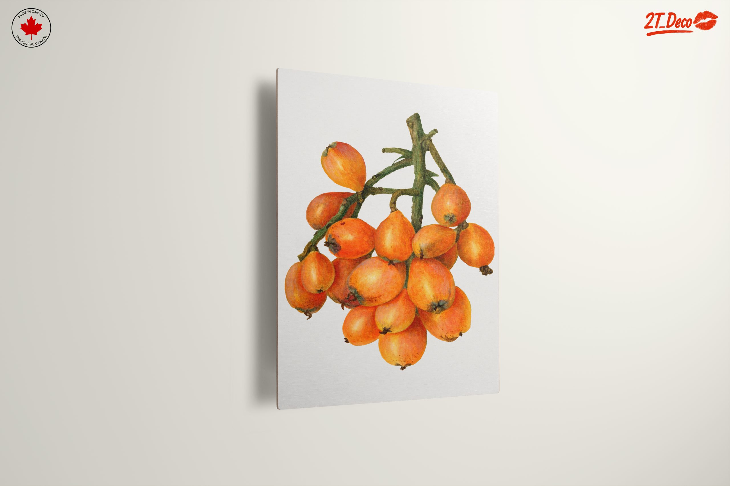 Detailed Botanical Illustration of Loquats - Image 13