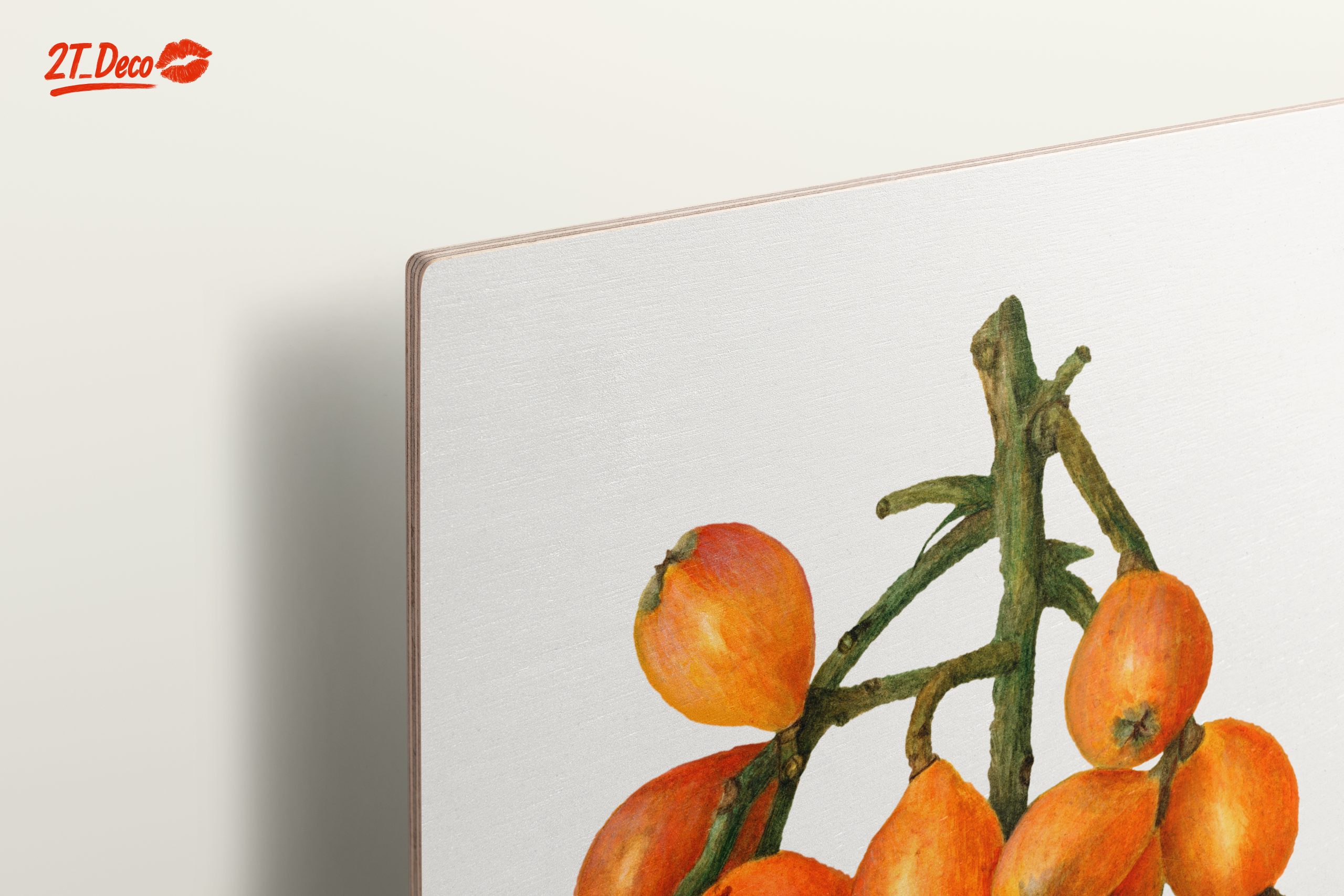 Detailed Botanical Illustration of Loquats - Image 15