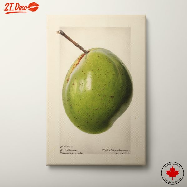 Artistic Representation of a Green Apple