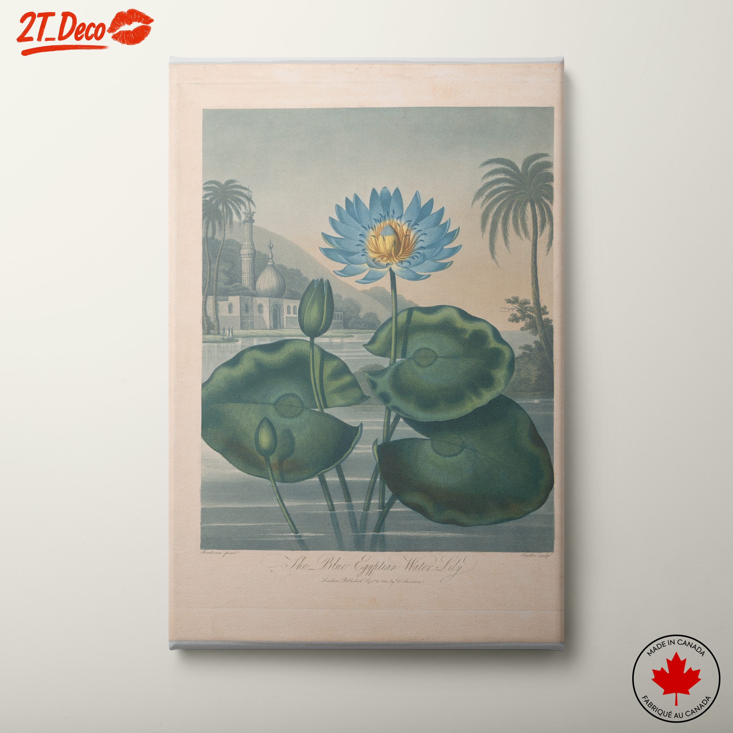 The Blue Egyptian Water Lily Art