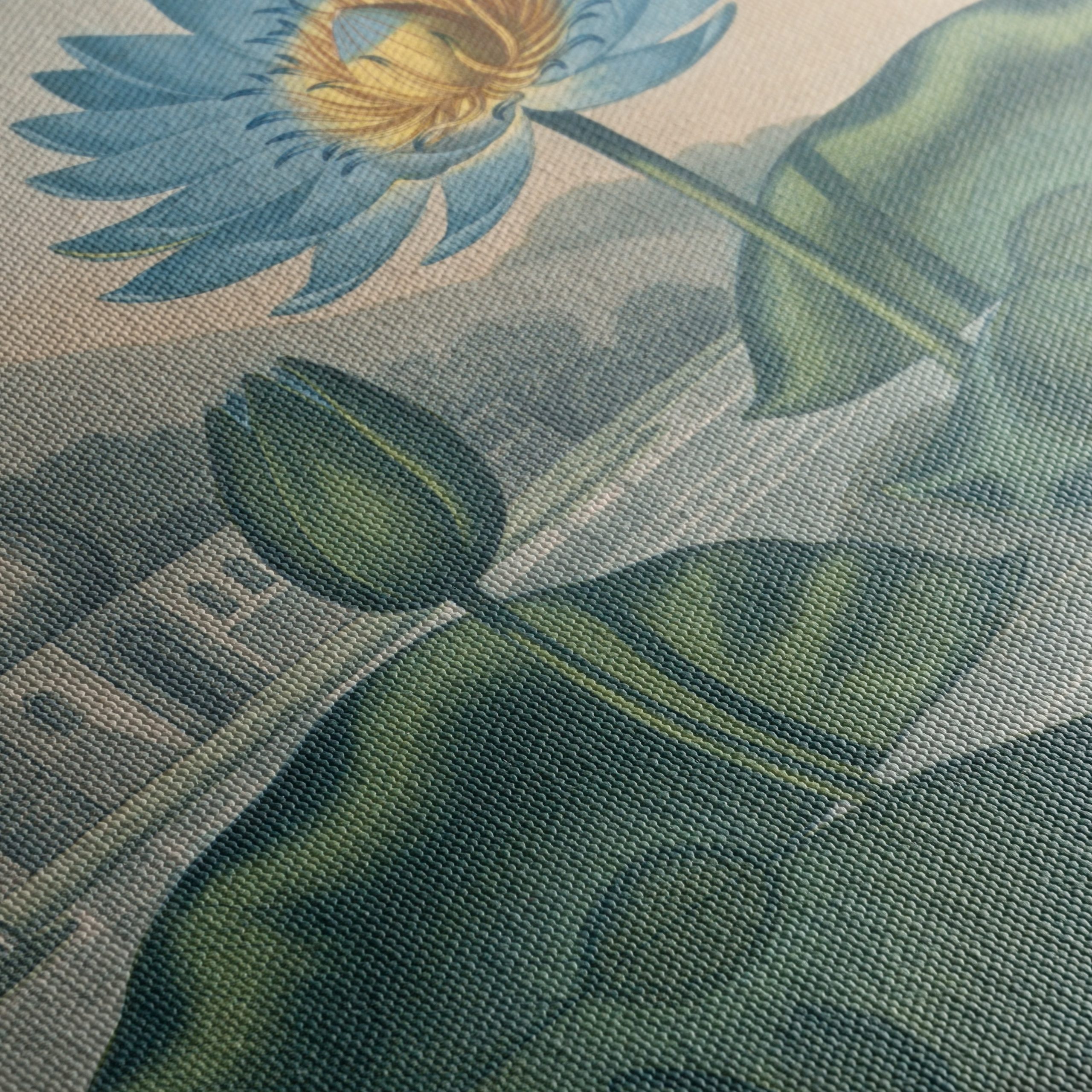The Blue Egyptian Water Lily Art - Image 5