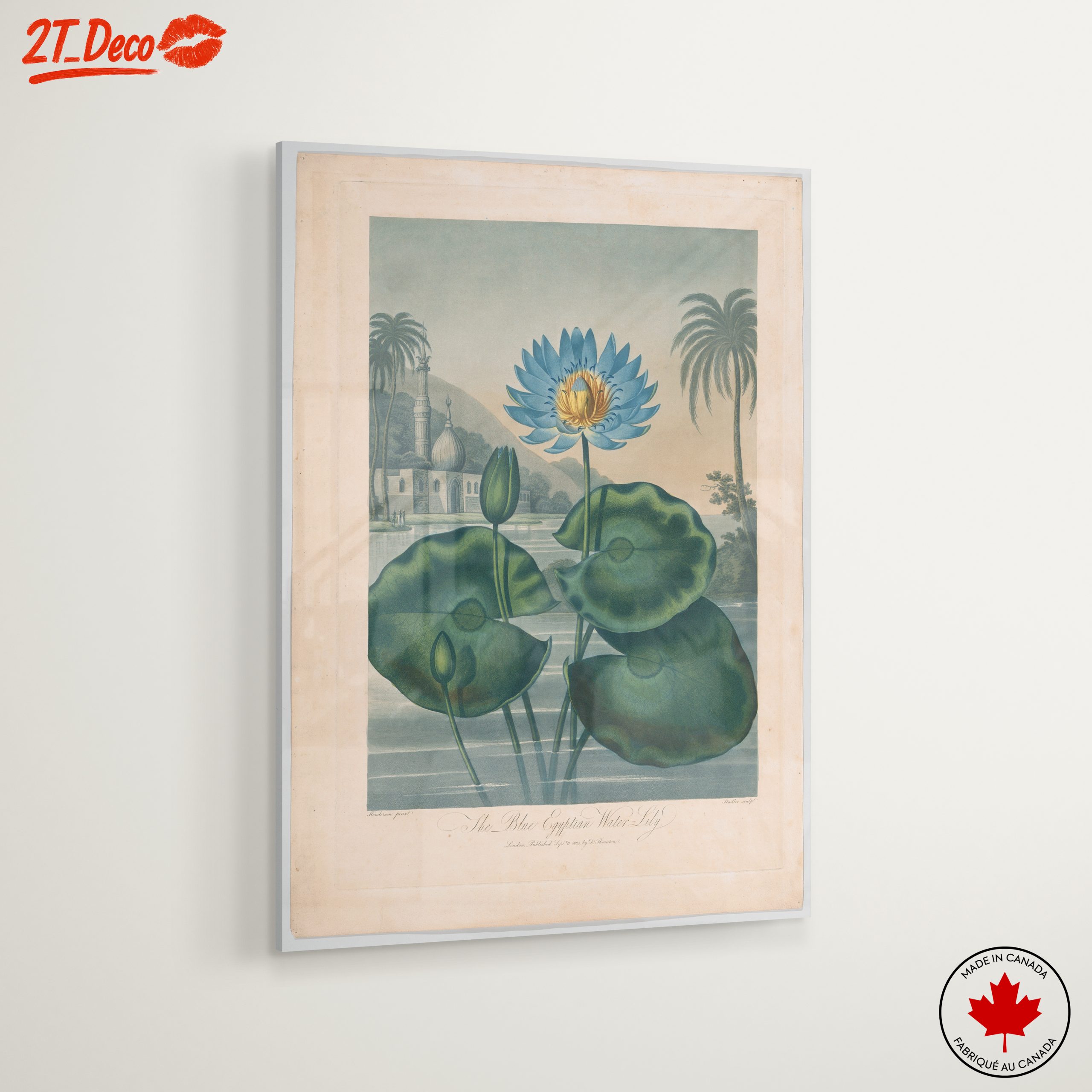 The Blue Egyptian Water Lily Art - Image 6