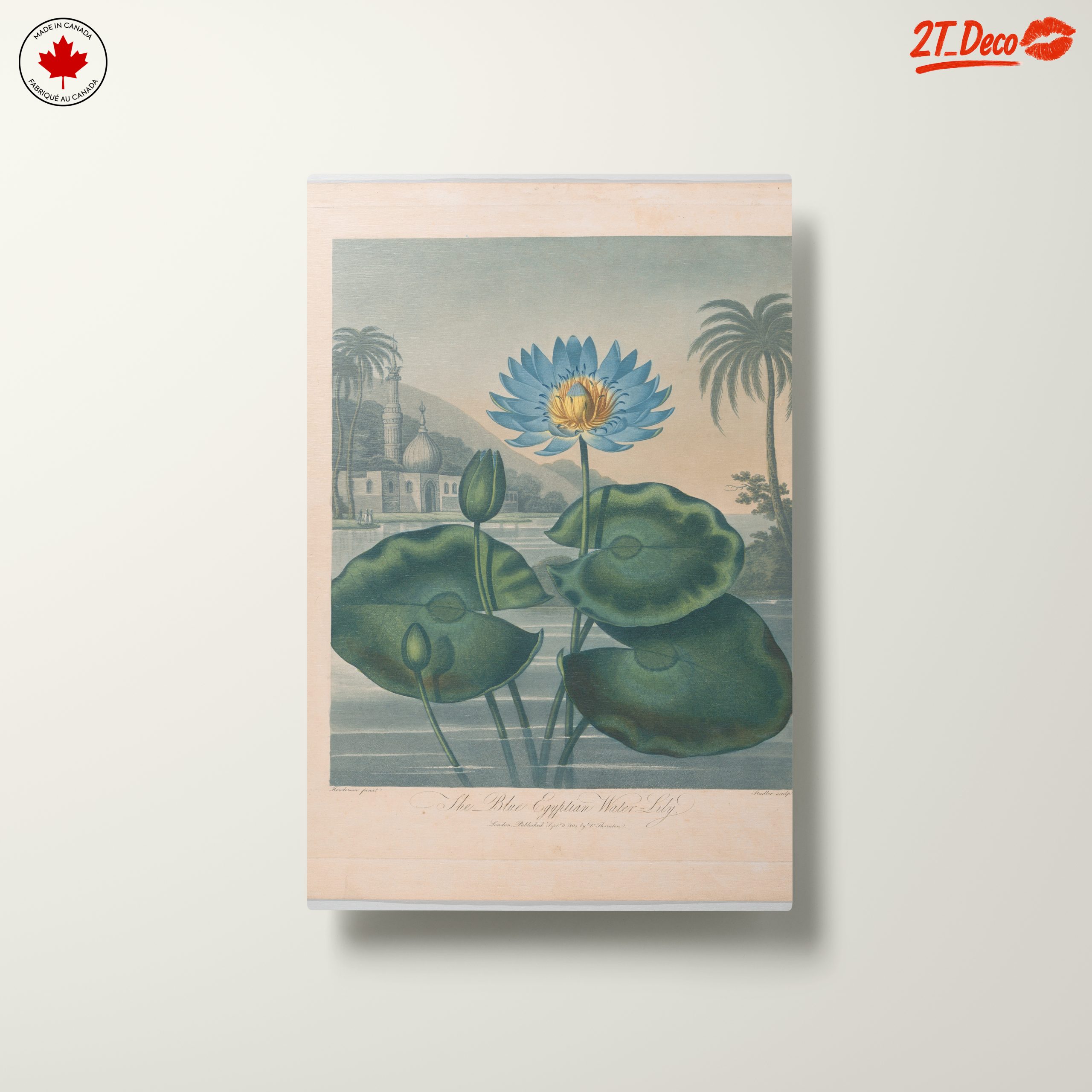 The Blue Egyptian Water Lily Art - Image 10