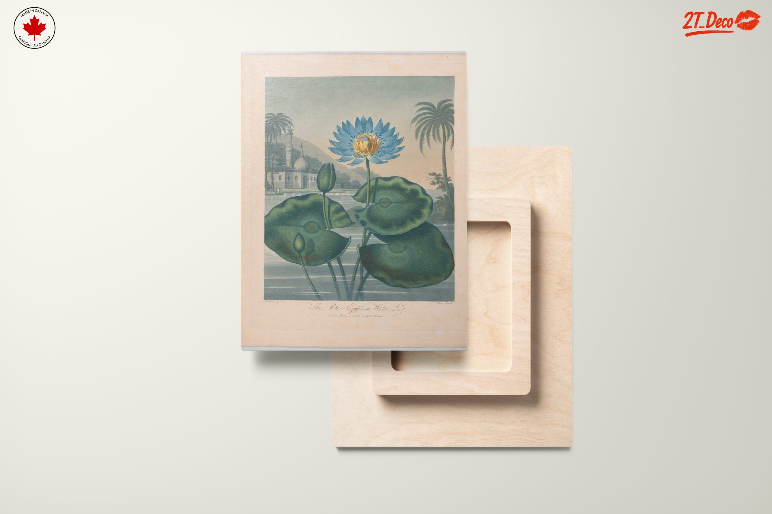 The Blue Egyptian Water Lily Art - Image 11