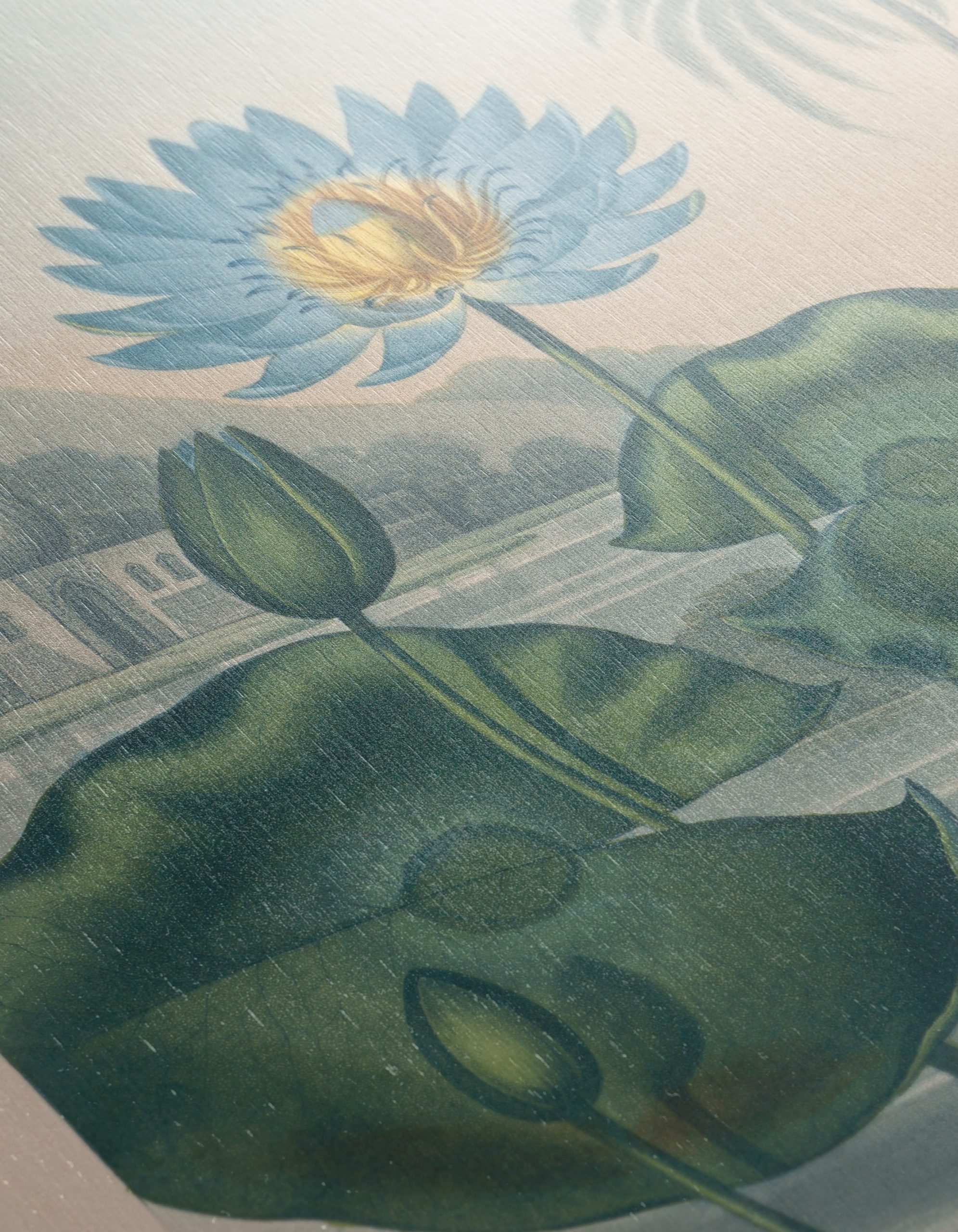 The Blue Egyptian Water Lily Art - Image 12