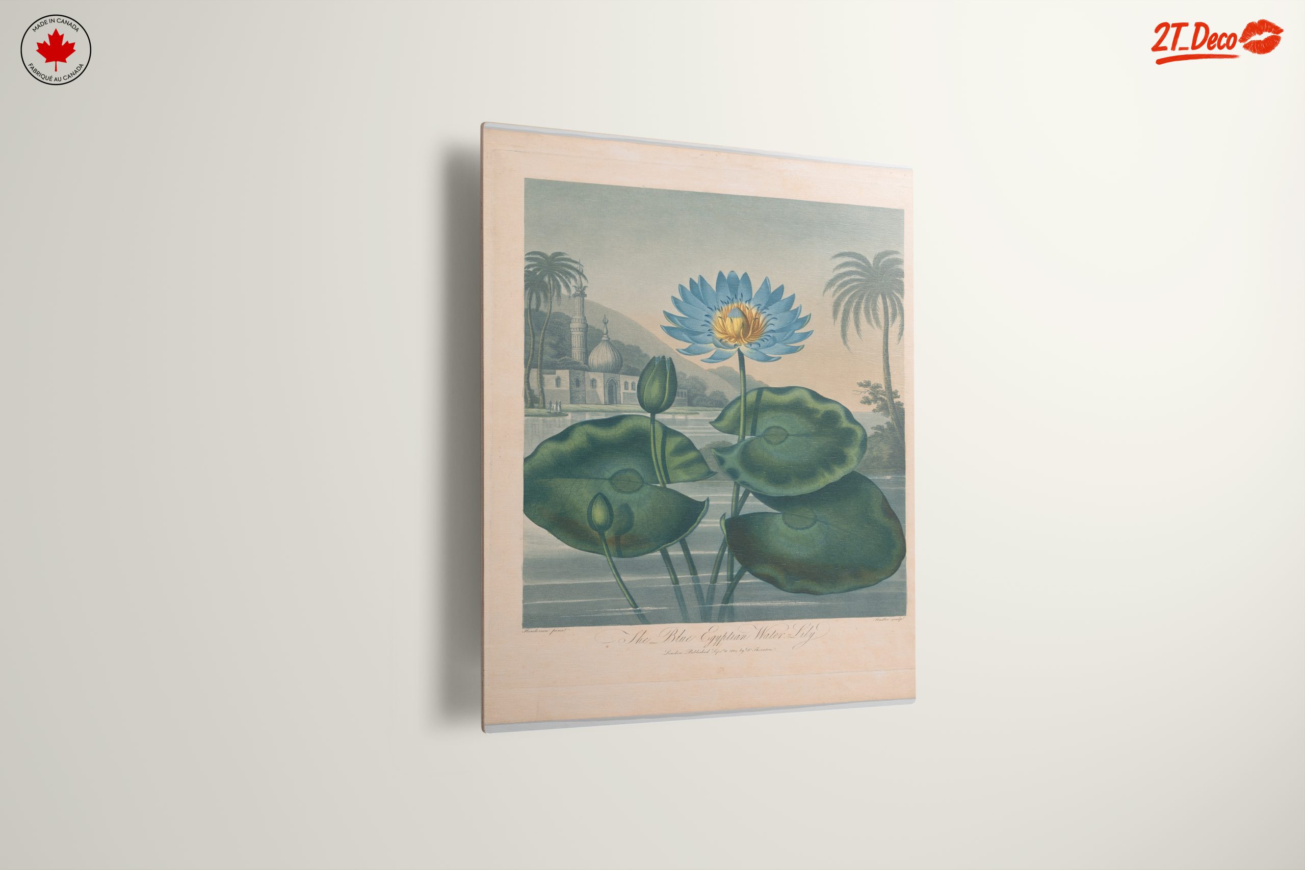 The Blue Egyptian Water Lily Art - Image 13
