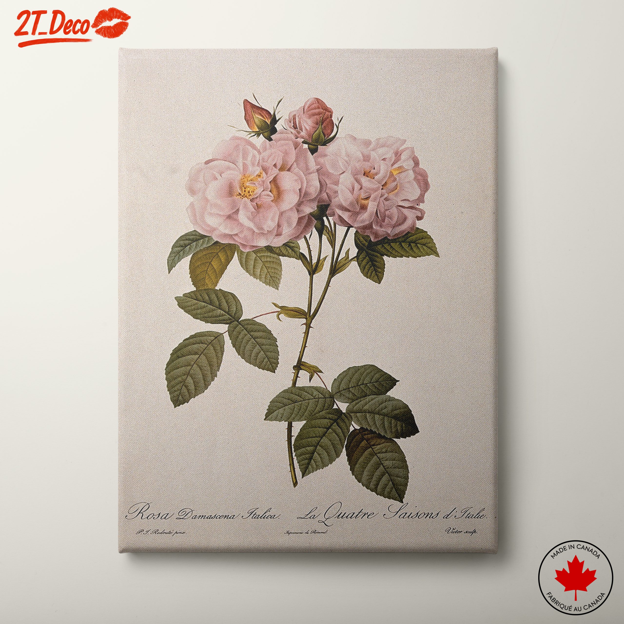 Elegant Pink Roses Botanical Artwork