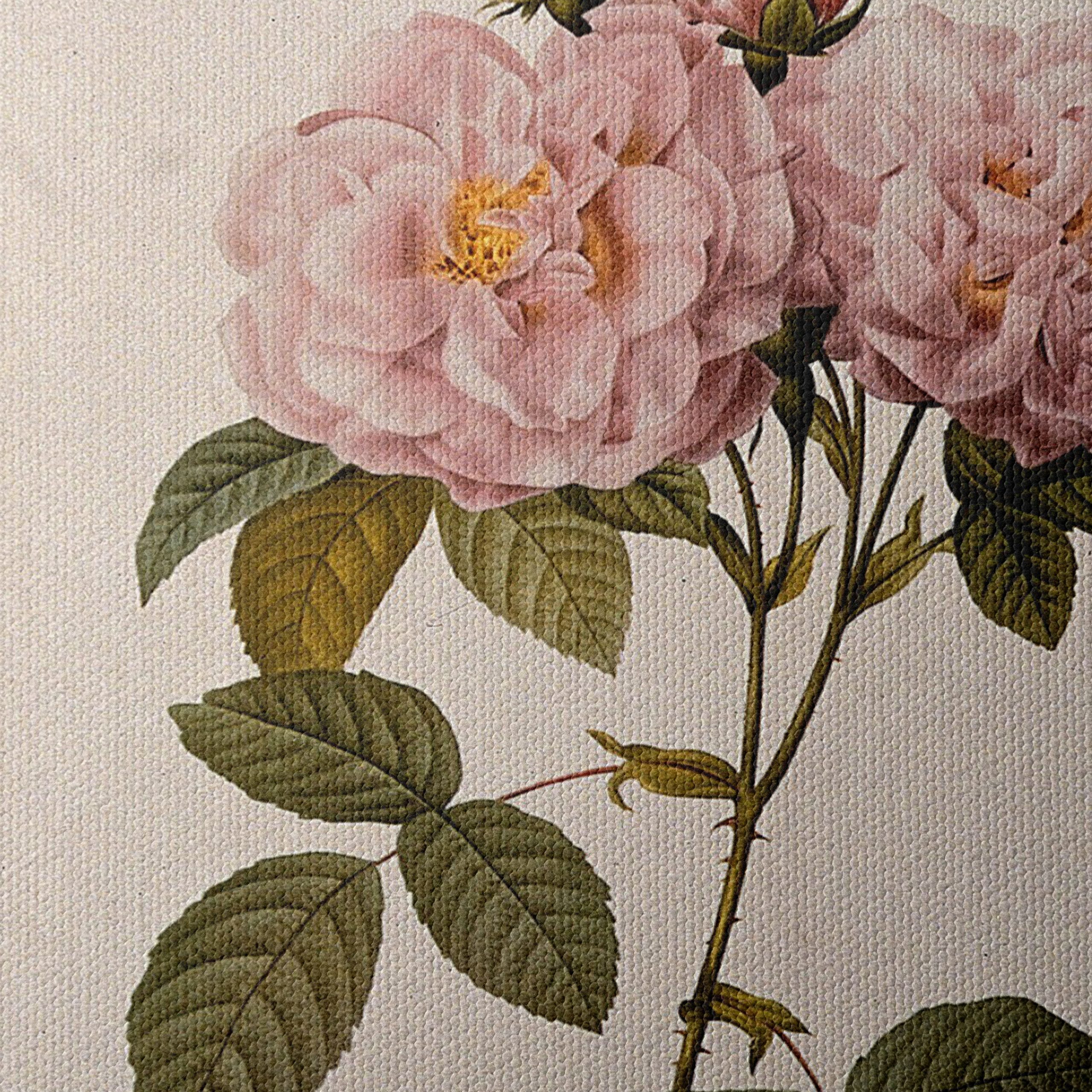 Elegant Pink Roses Botanical Artwork - Image 4