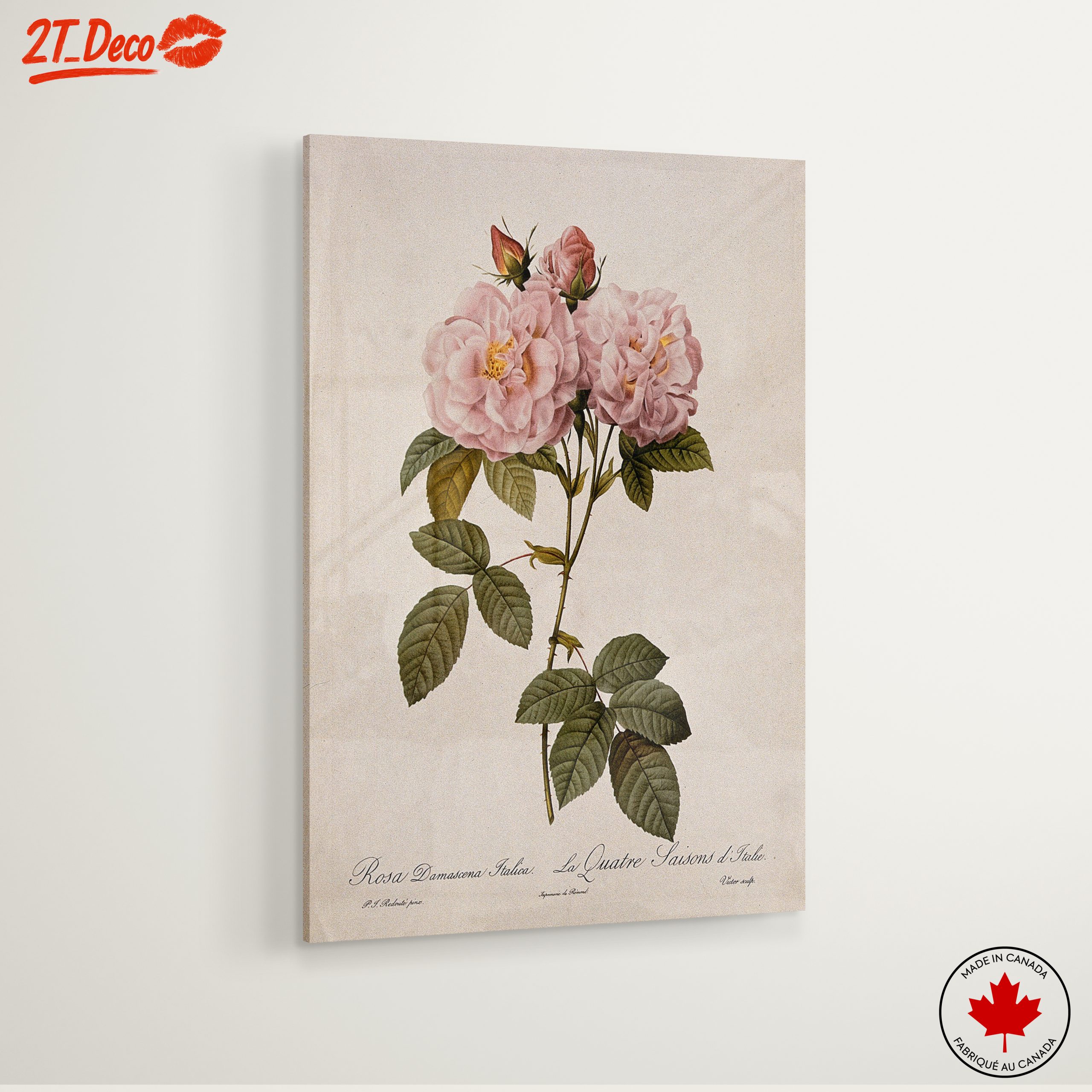 Elegant Pink Roses Botanical Artwork - Image 6