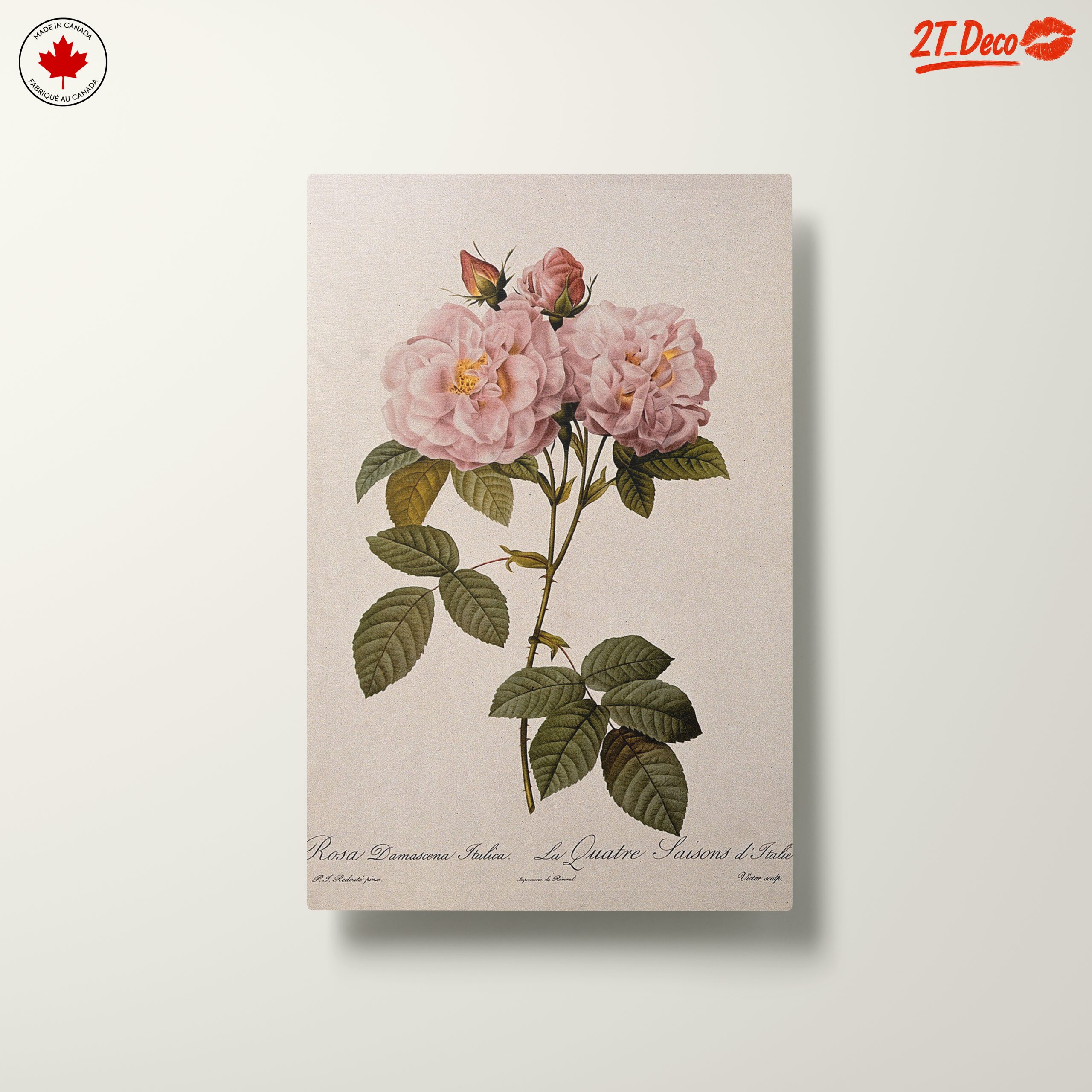 Elegant Pink Roses Botanical Artwork - Image 10
