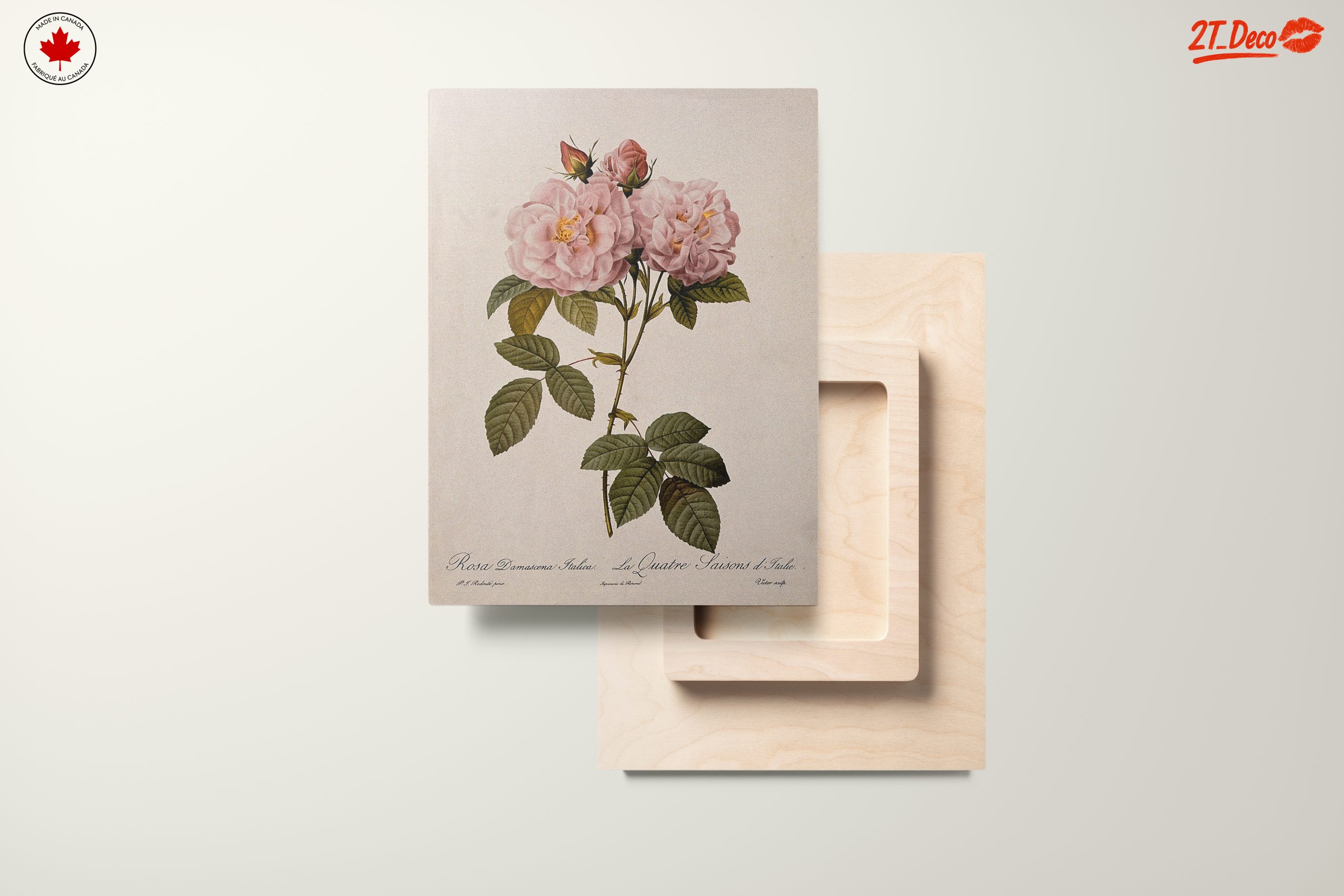 Elegant Pink Roses Botanical Artwork - Image 11