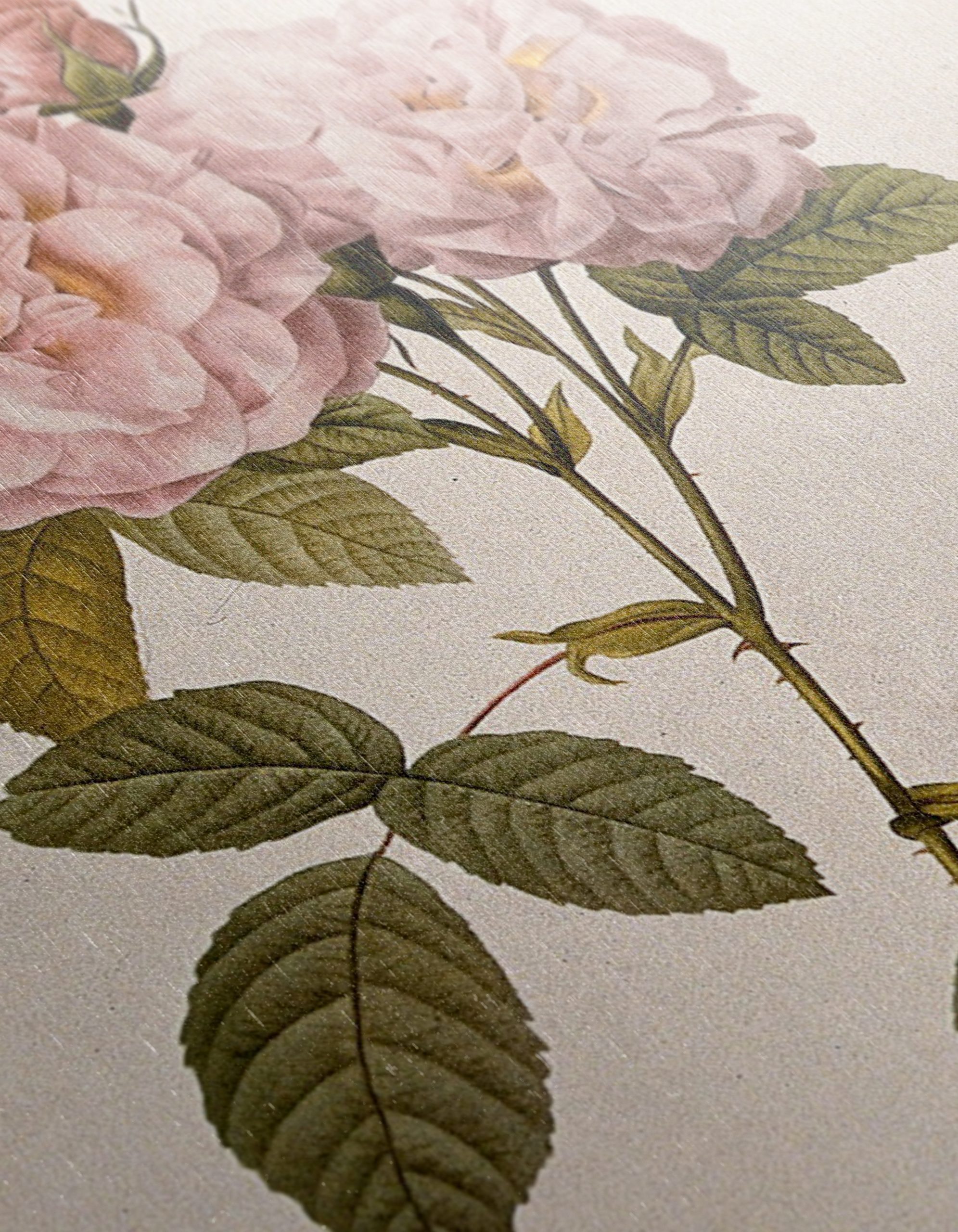 Elegant Pink Roses Botanical Artwork - Image 12