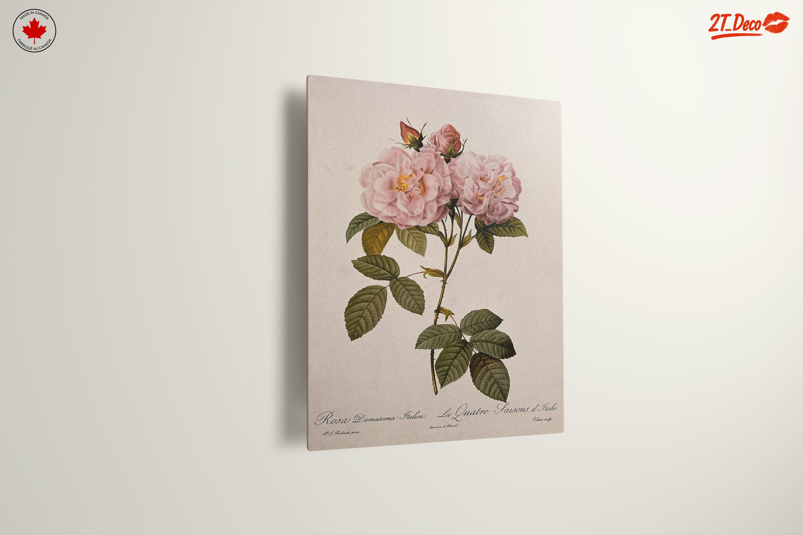 Elegant Pink Roses Botanical Artwork - Image 13