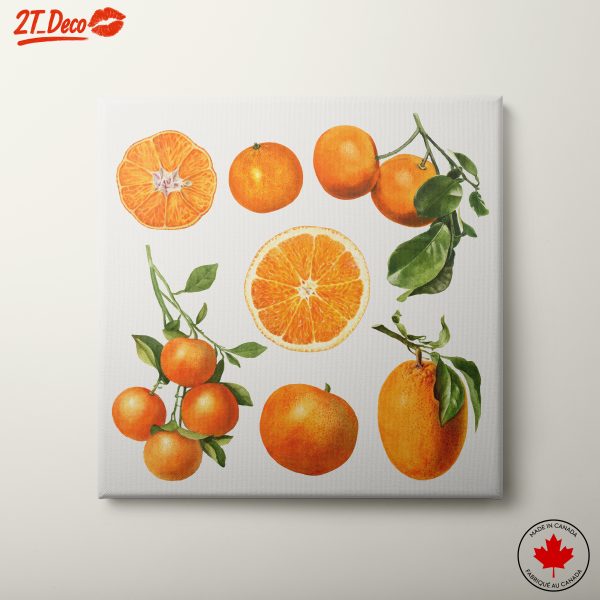 Delicate Abstract Art of Oranges and Tangerines