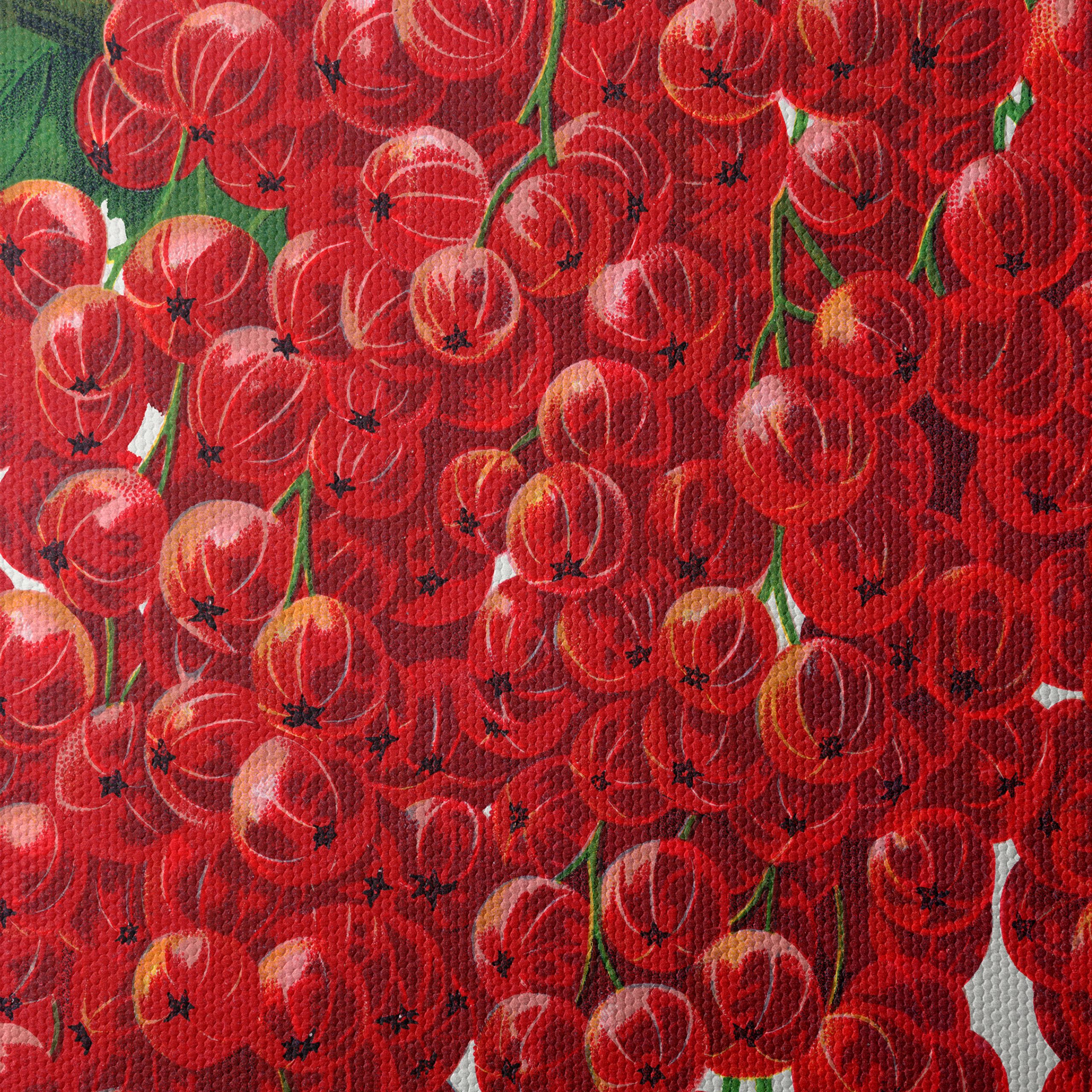 Fay's Prolific Red Currant Botanical Art - Image 4