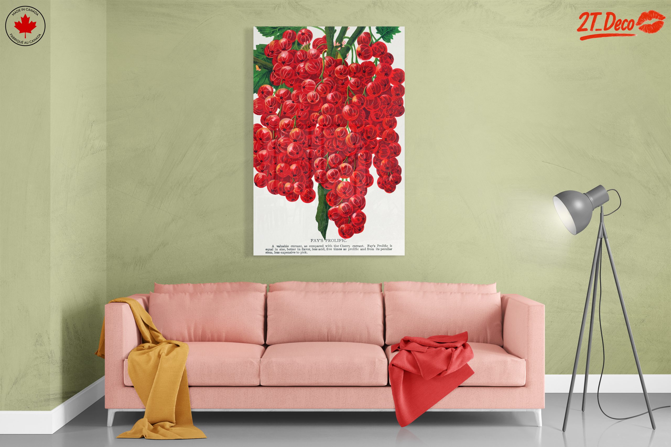 Fay's Prolific Red Currant Botanical Art - Image 7