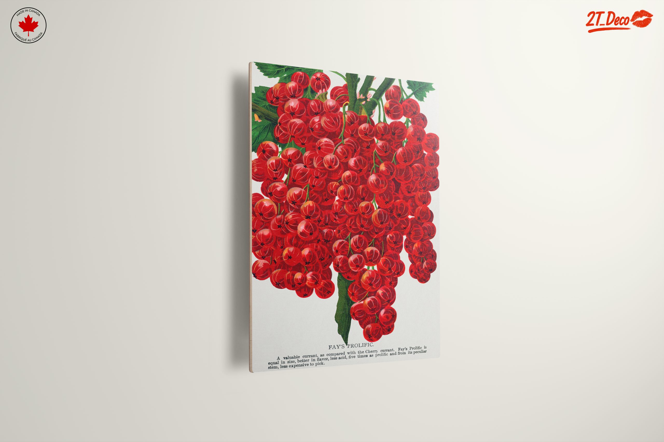 Fay's Prolific Red Currant Botanical Art - Image 13