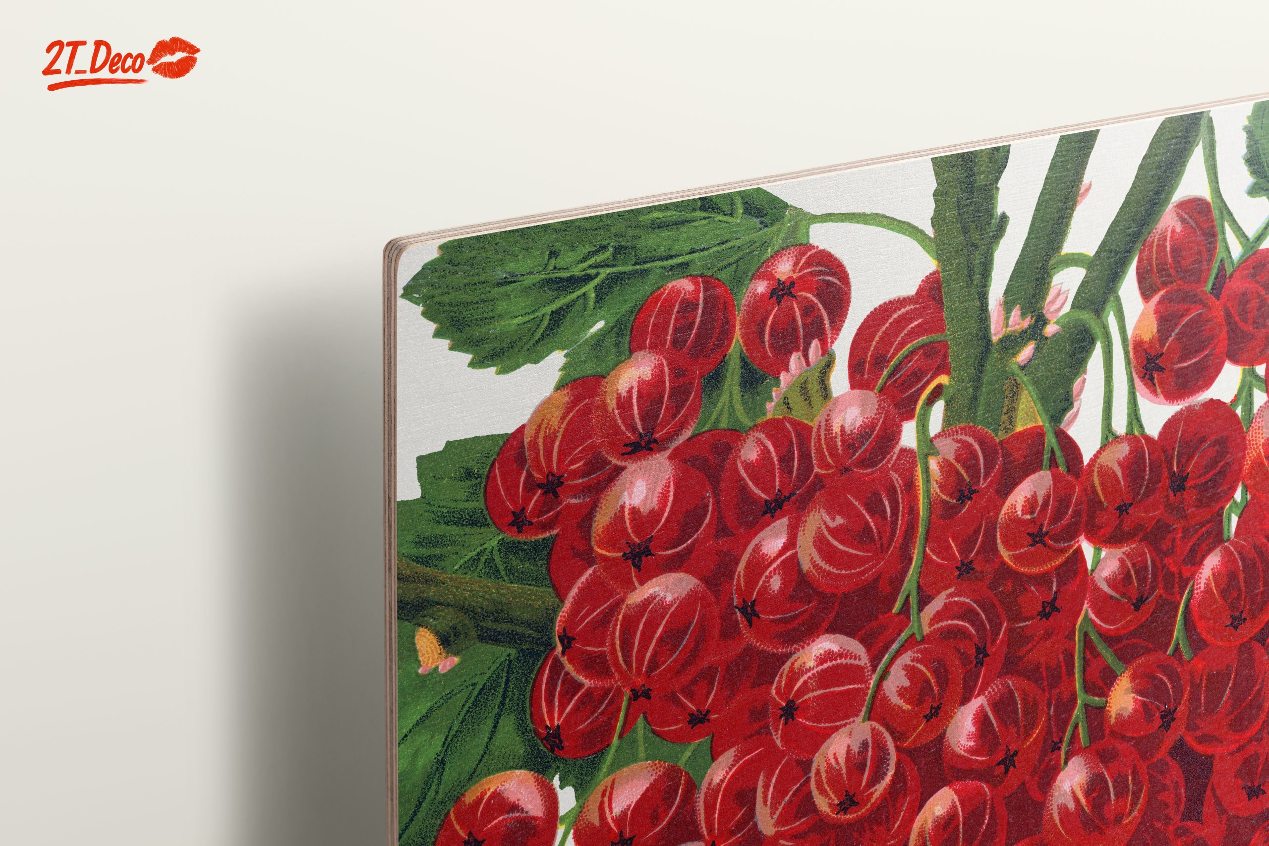 Fay's Prolific Red Currant Botanical Art - Image 15