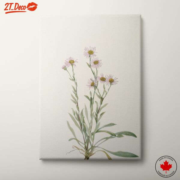 Delicate Floral Botanical Art 5